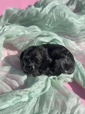 IMG_4090.jpeg