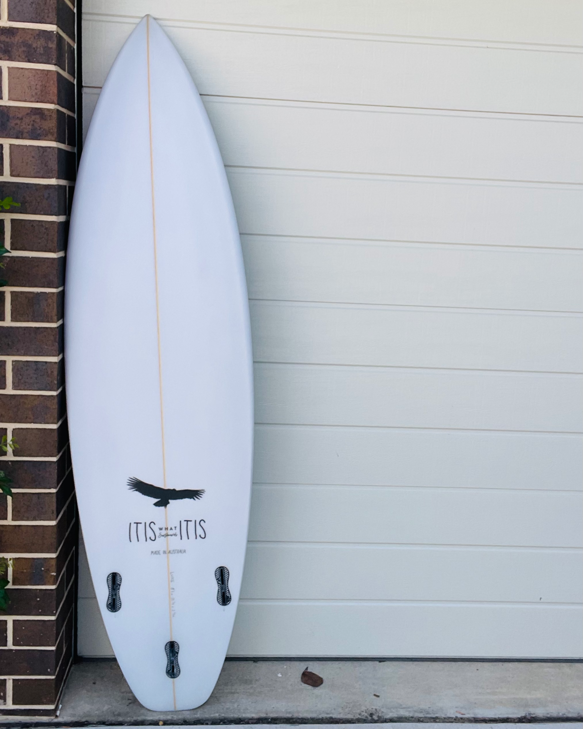 The Vulture Surfboard