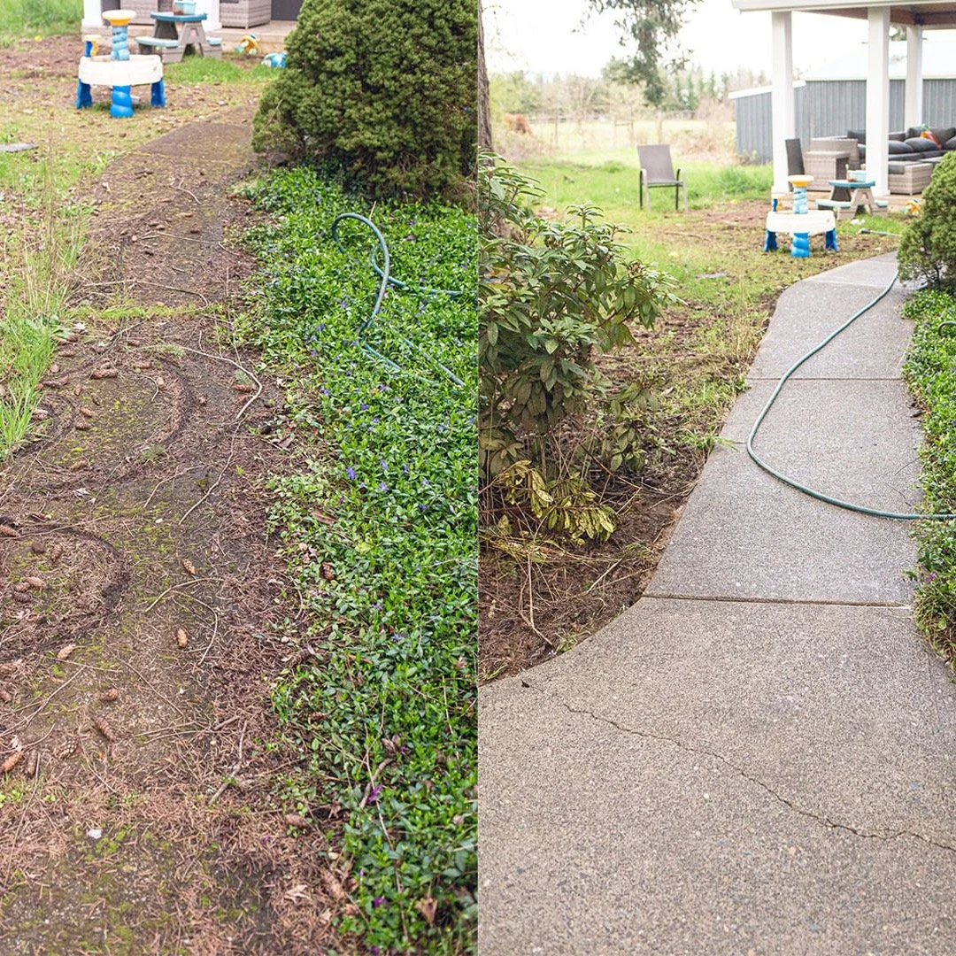 Can't see your walkway anymore? We can help! #pressurewashing #pressurewash #softwashingservice #softwashing #cleaningservices #oregon