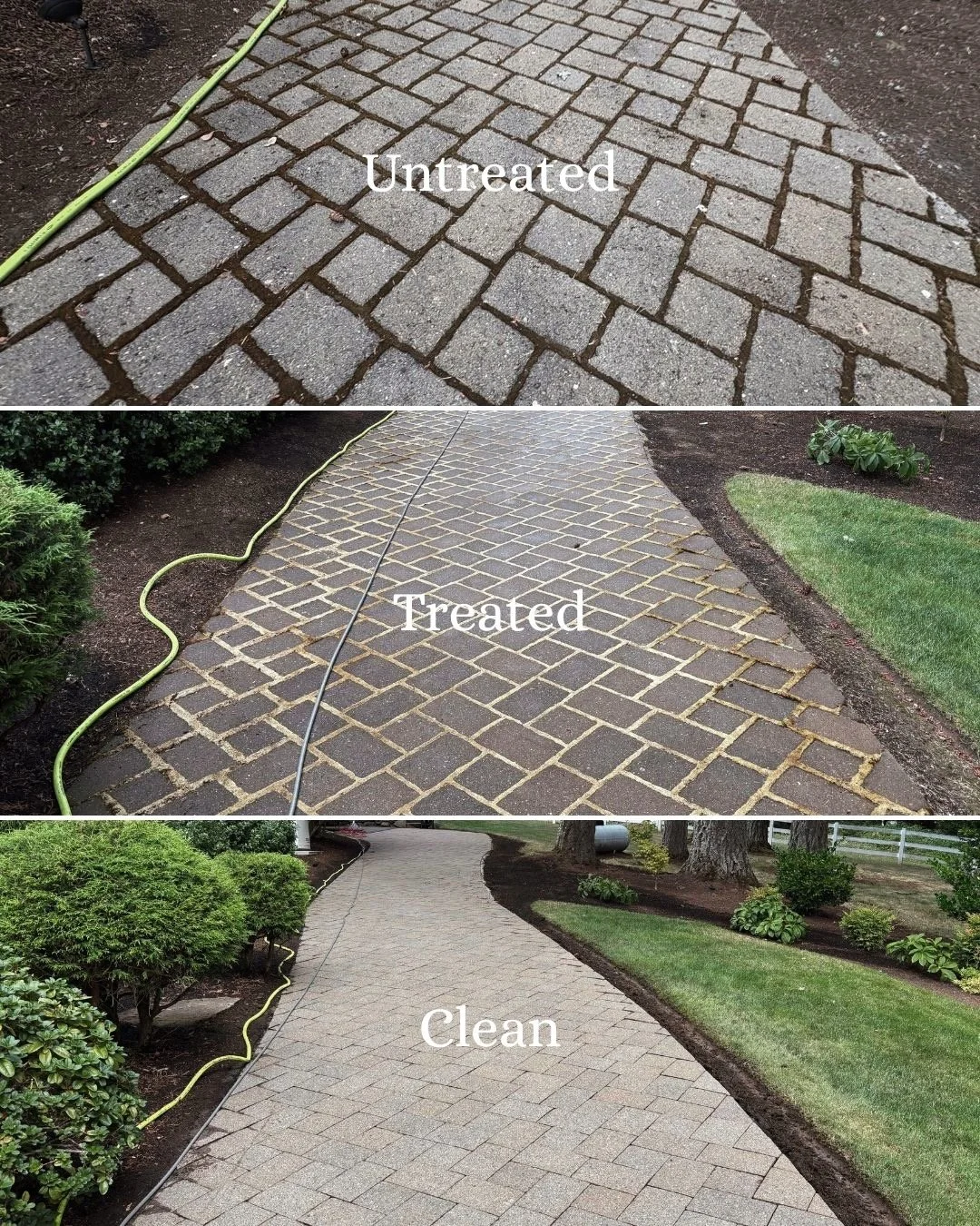 If you forgot how good your space looks when it's clean - we can help!