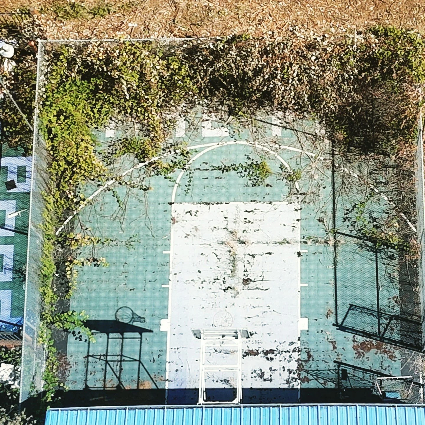 We love to make a difference in your space. No matter how overgrown or neglected, if you can get it dirty, we can get it clean!
