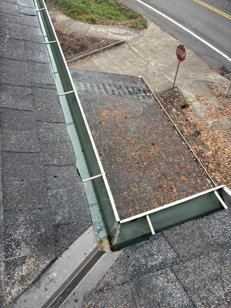 Gutter Cleaning Tools