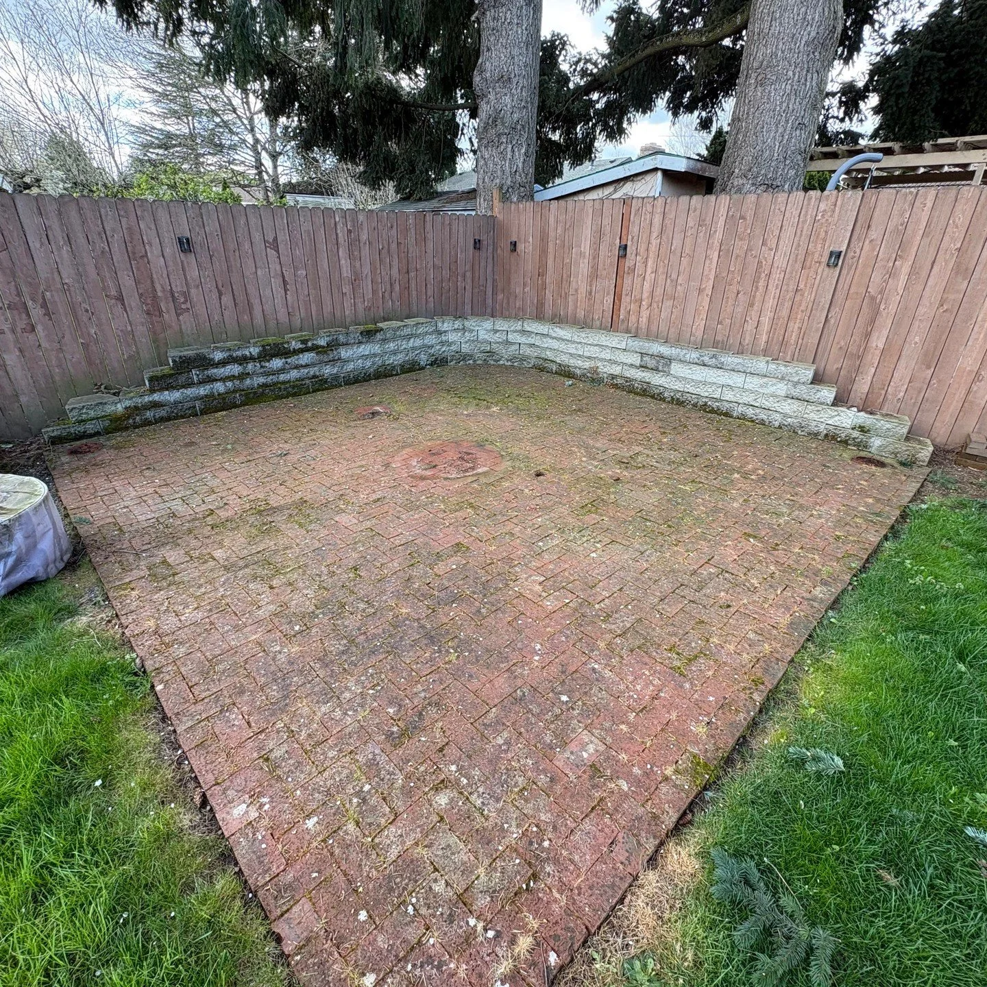 Pressure washing can be about more than just aesthetics - cleaning off the algae makes the surface much less slippery and much safer to enjoy!