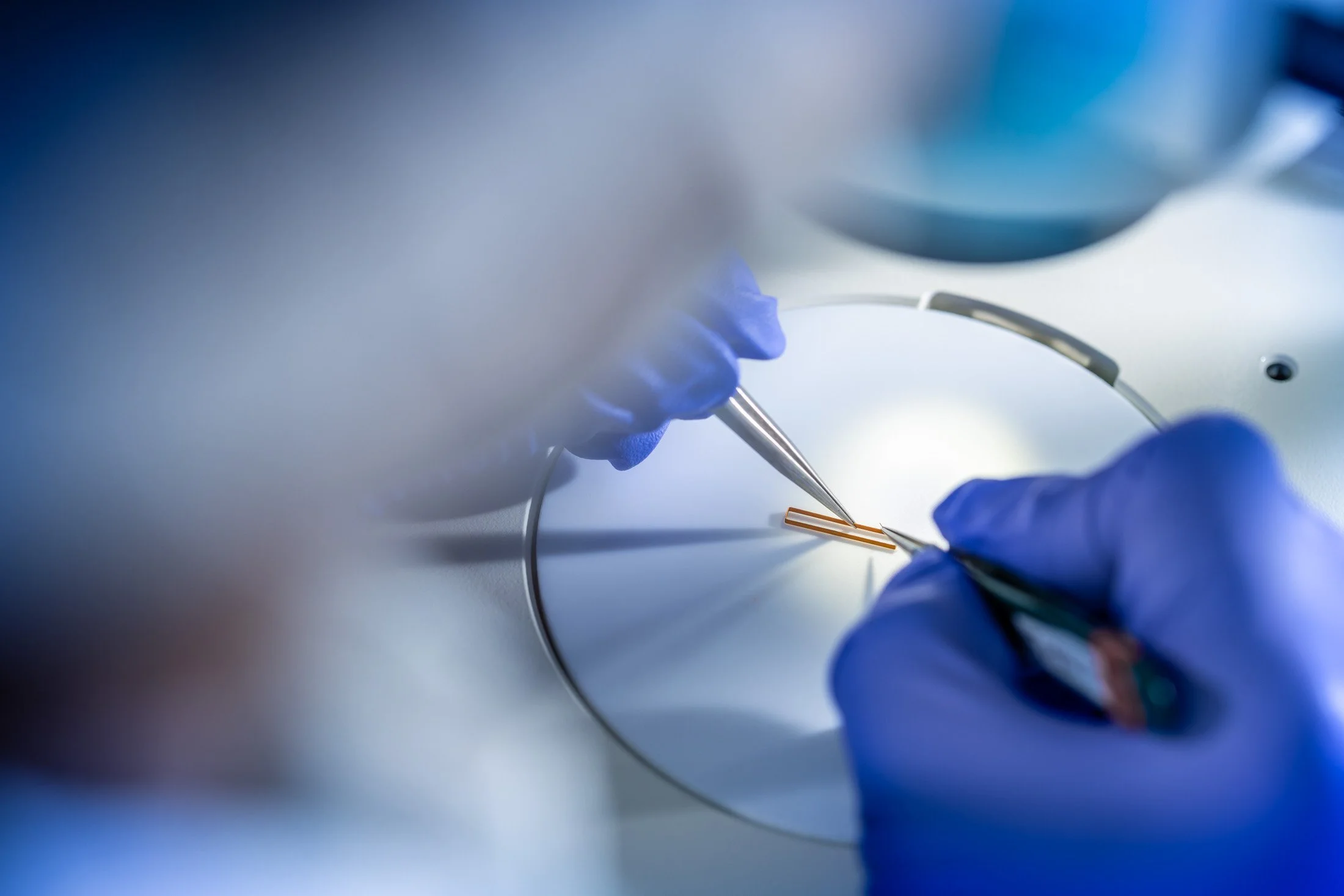 Scientist working in a laboratory with a petri dish and precise tools