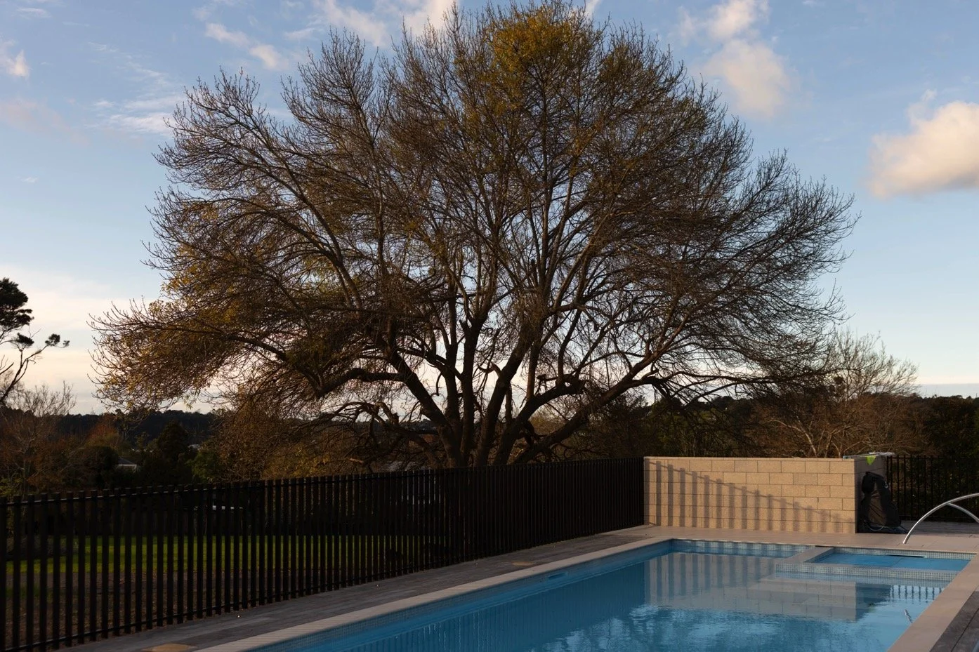 pool in winter afternoon light.jpeg