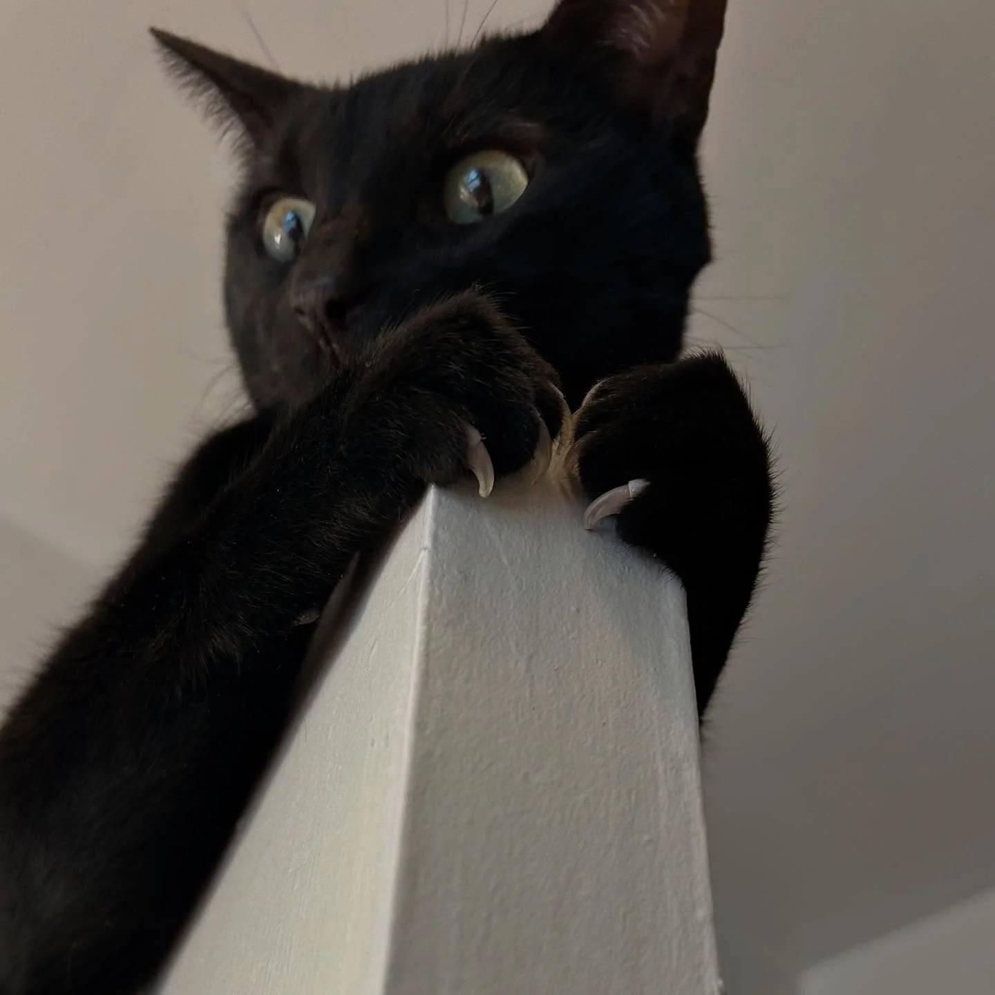 Knives out for Pr!de

I love you &mdash; we will outlast whatever this is 
We all deserve better but for now we will do better 
Hoping for more protests than promotions this year 
Take care of ur trans siblings do not shy away 

I love you yes YOU
We