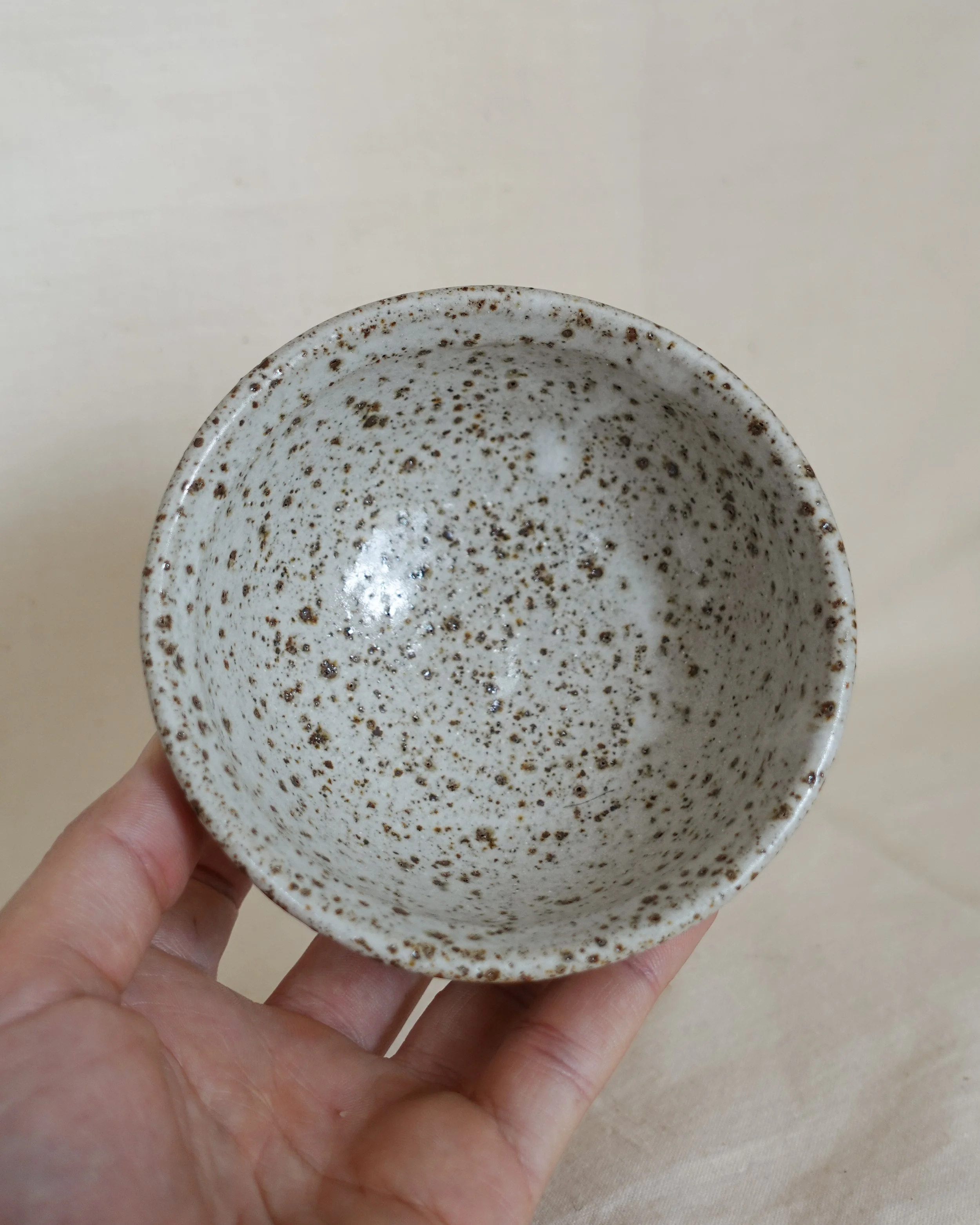 DSC04216.jpg