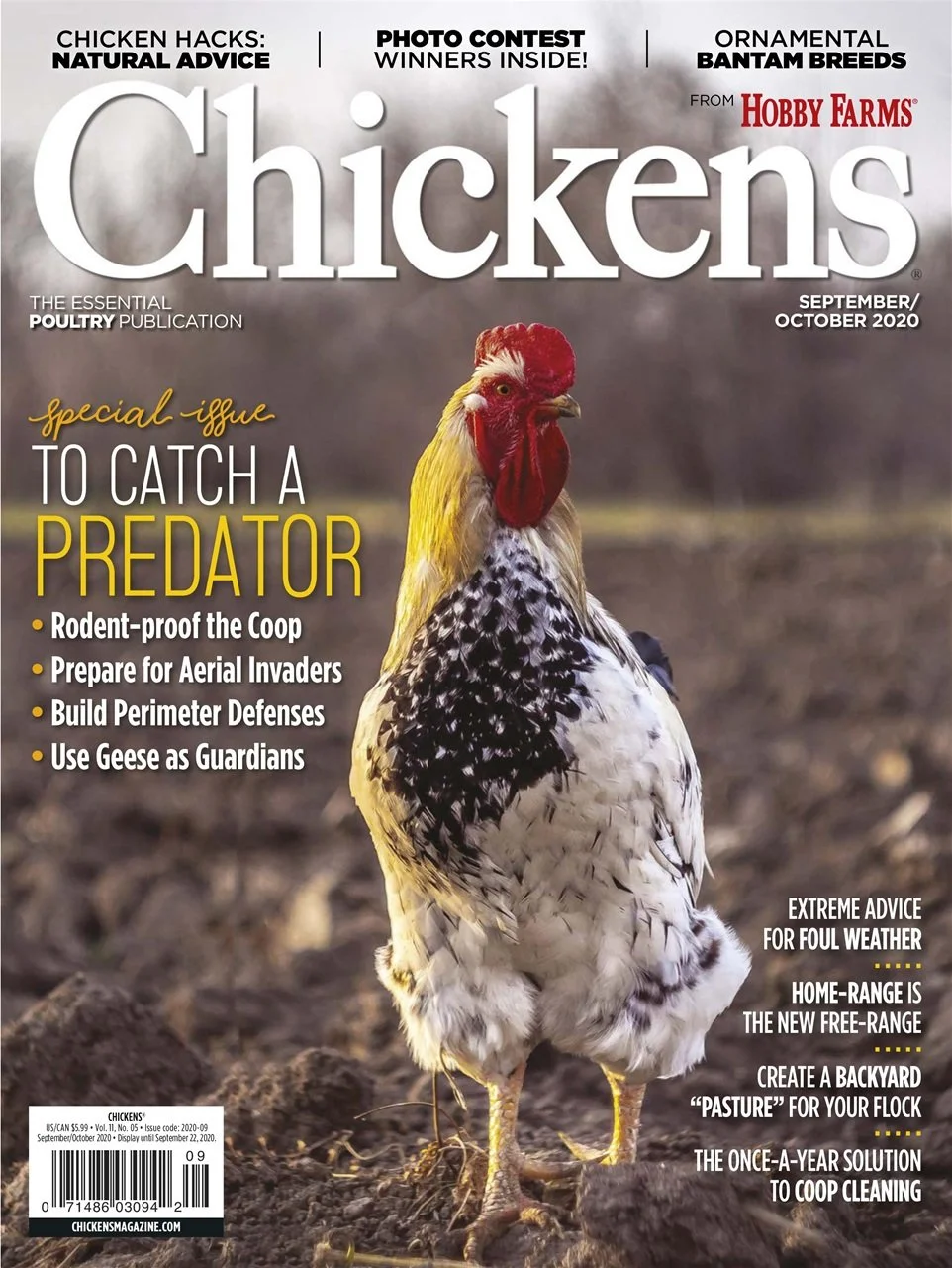 Chickens Magazine – Your Guide to Raising Happy & Healthy Flocks ...