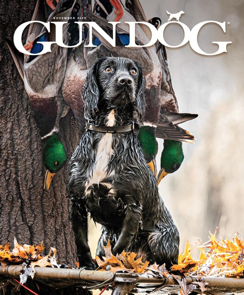 Gun Dog-1828.jpg