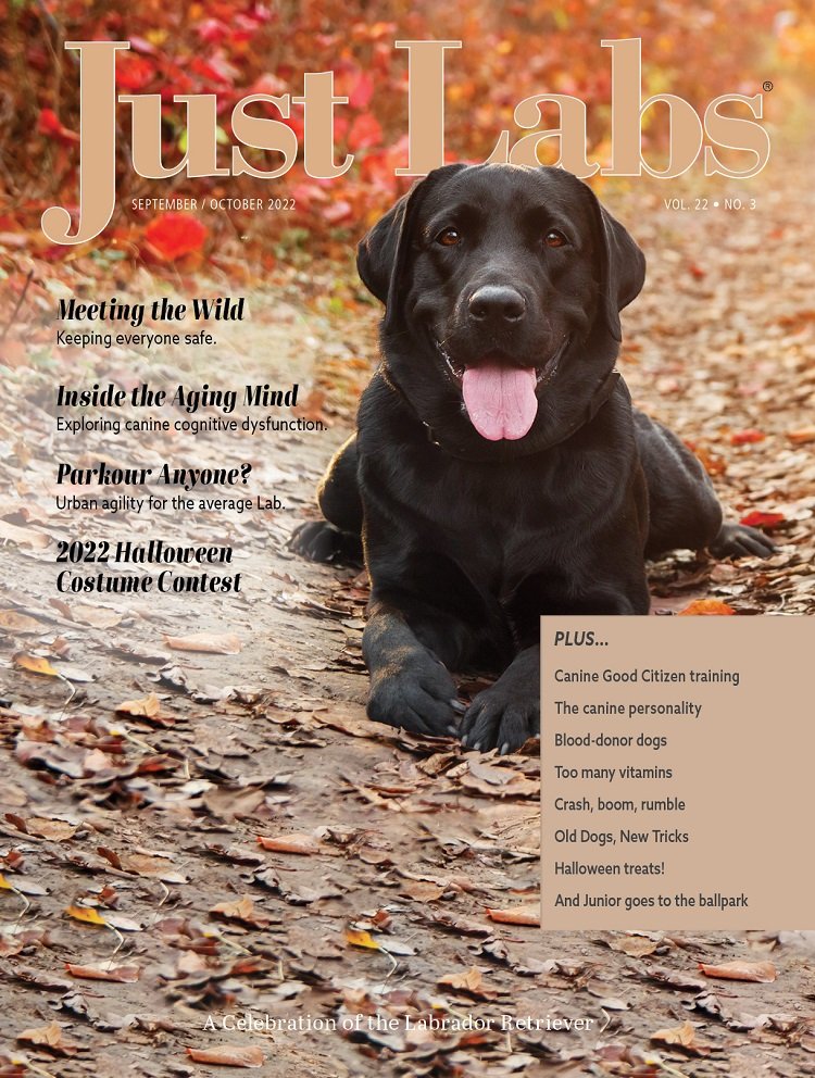 Just Labs-45015.jpg