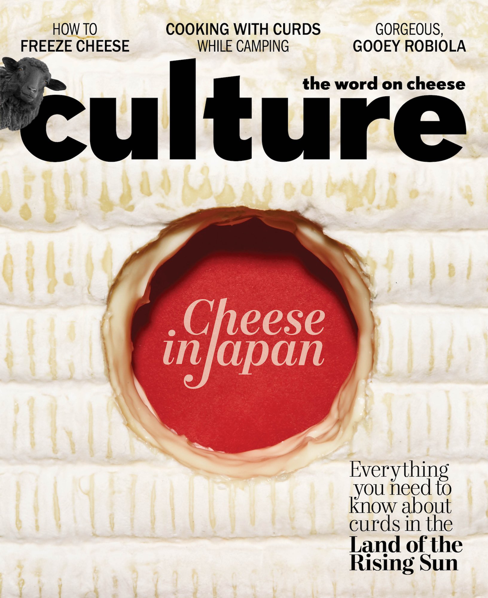 Culture_ the word on cheese -53977 (2).jpeg