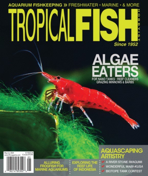 Tropical Fish Hobbyist -1142.jpg