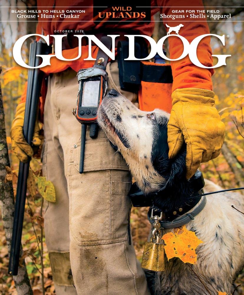 Gun Dog - Training, Care, and Hunting Tips for Sporting Dogs — Magazine ...