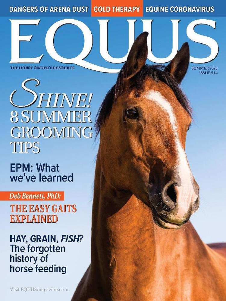 Equus-47 (1).jpg