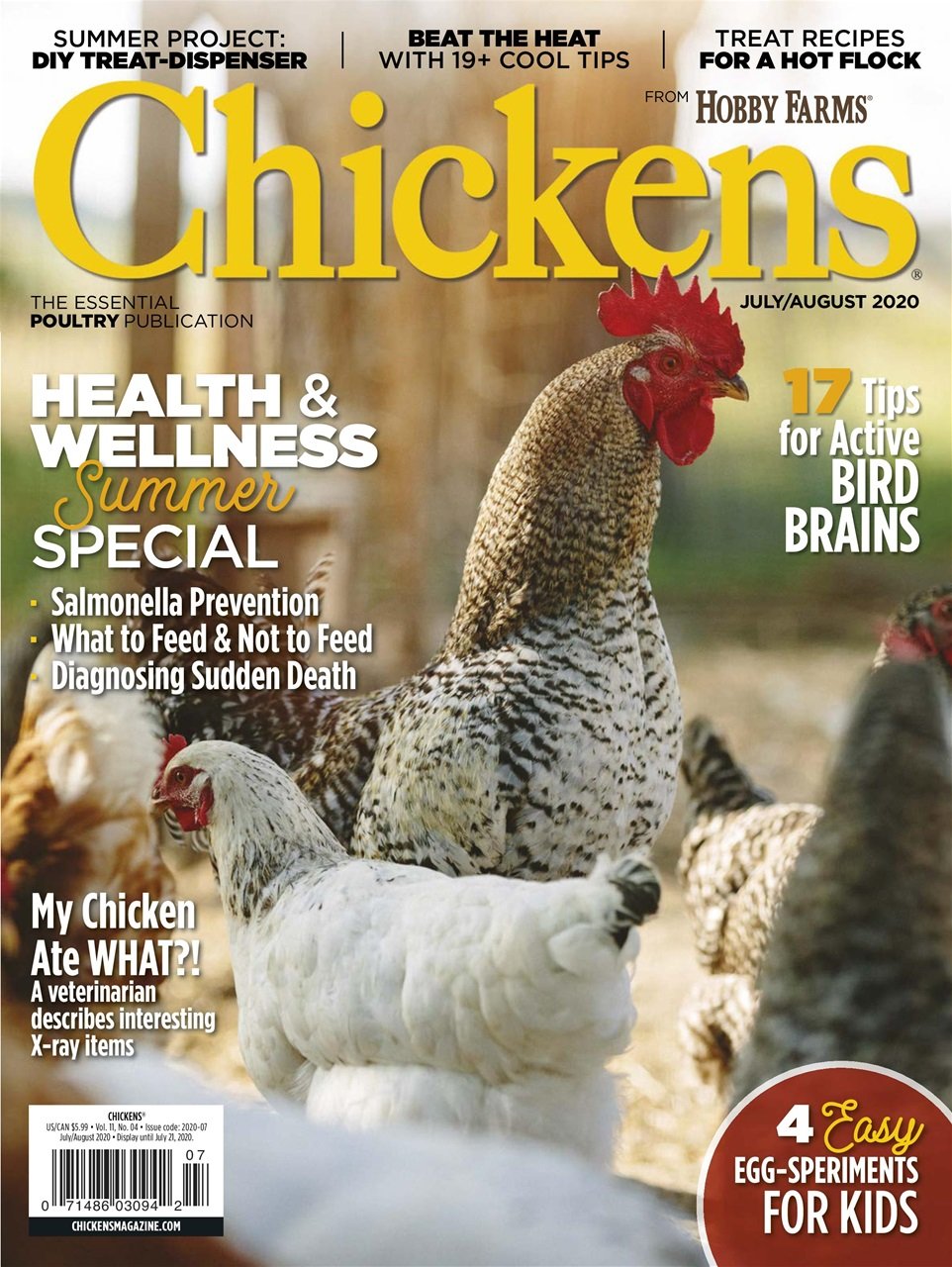 Chickens-4935 (2).jpg