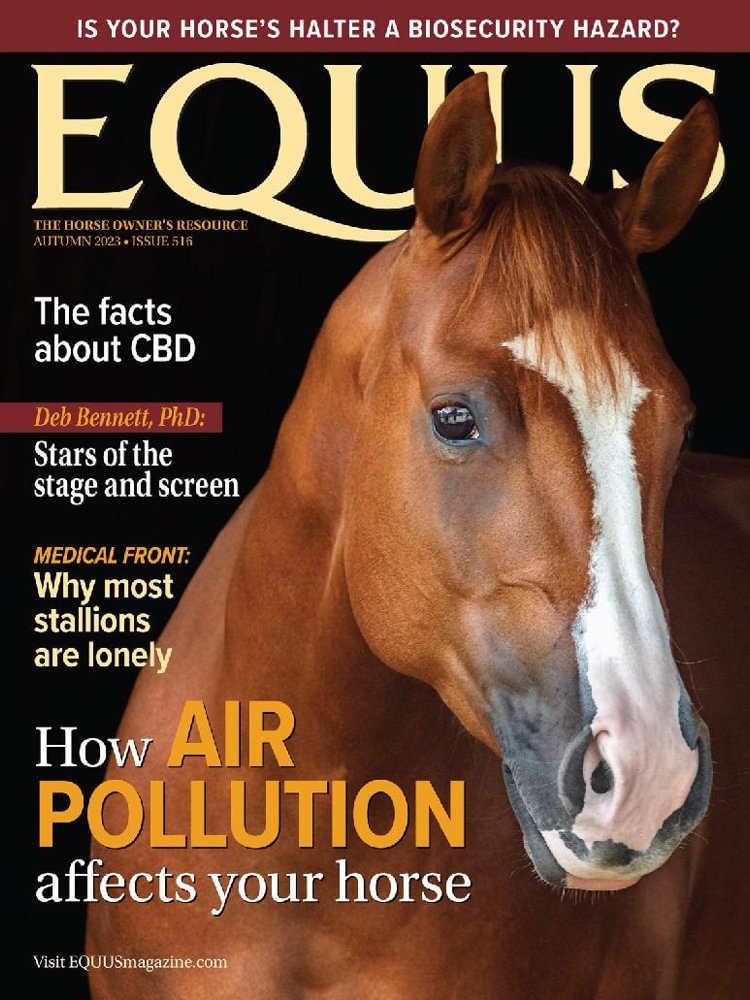 Equus-47.jpg