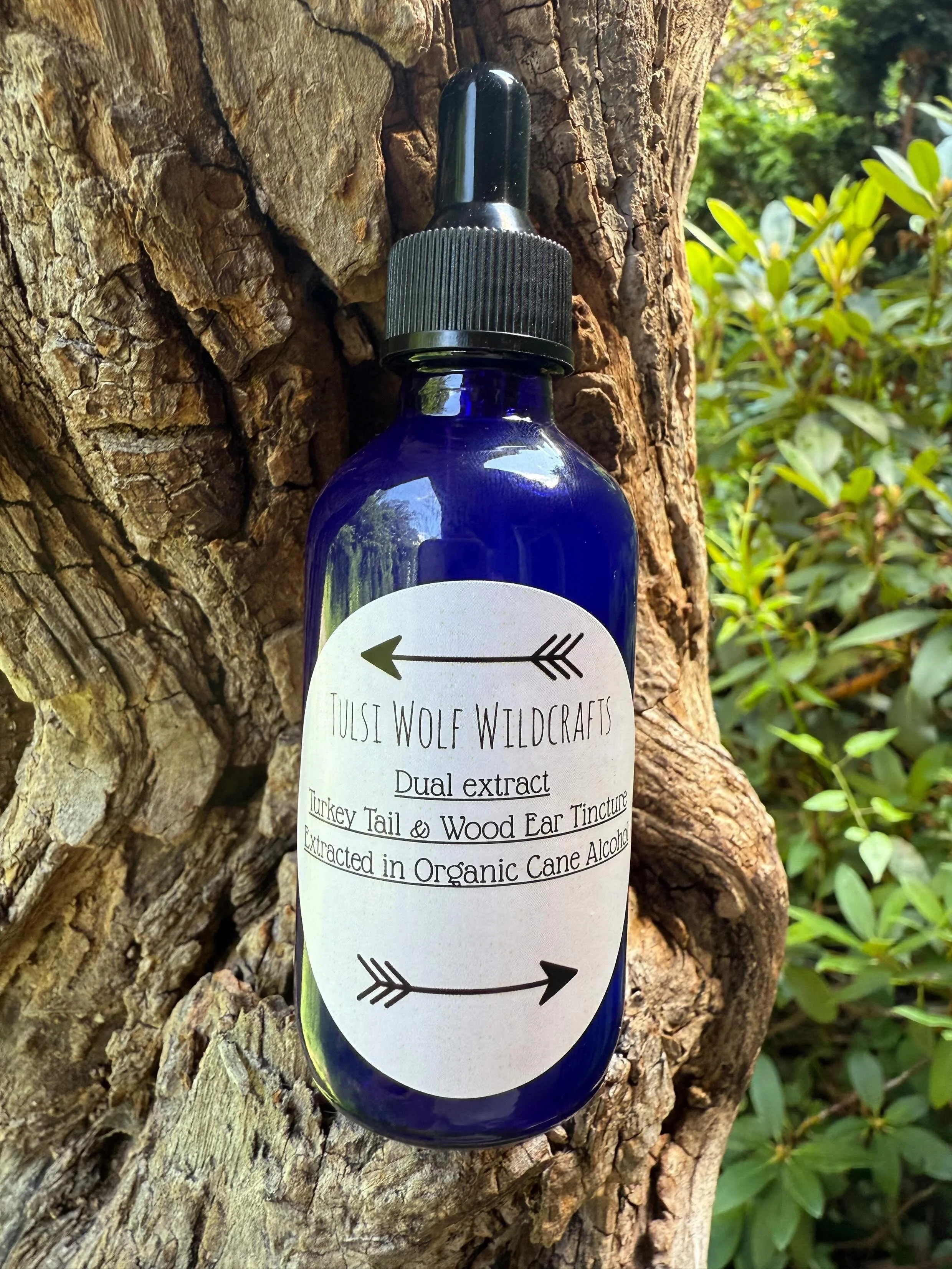 Dual Extract Turkey Tail & Wood Ear Tincture