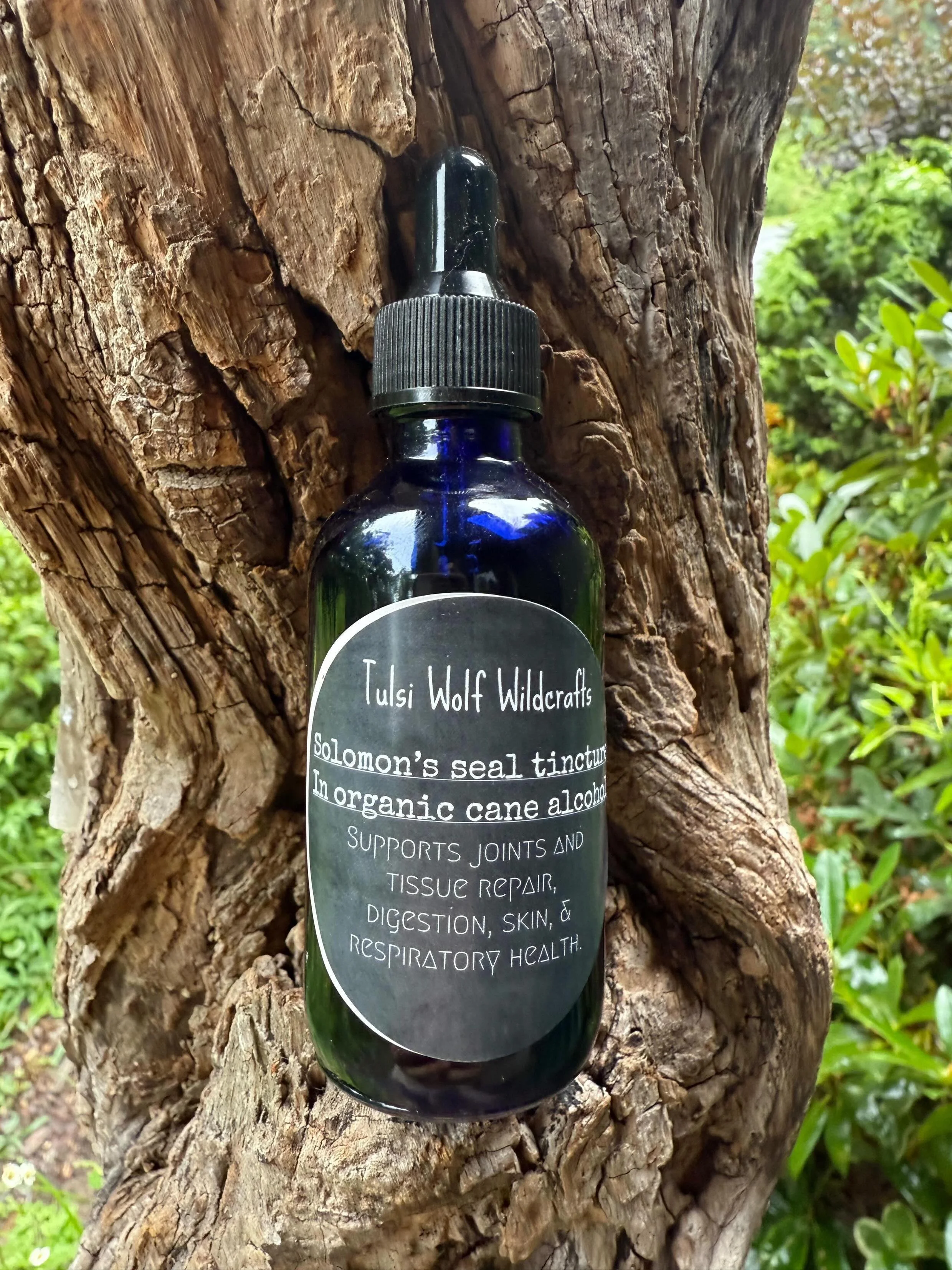 Solomon's Seal Tincture