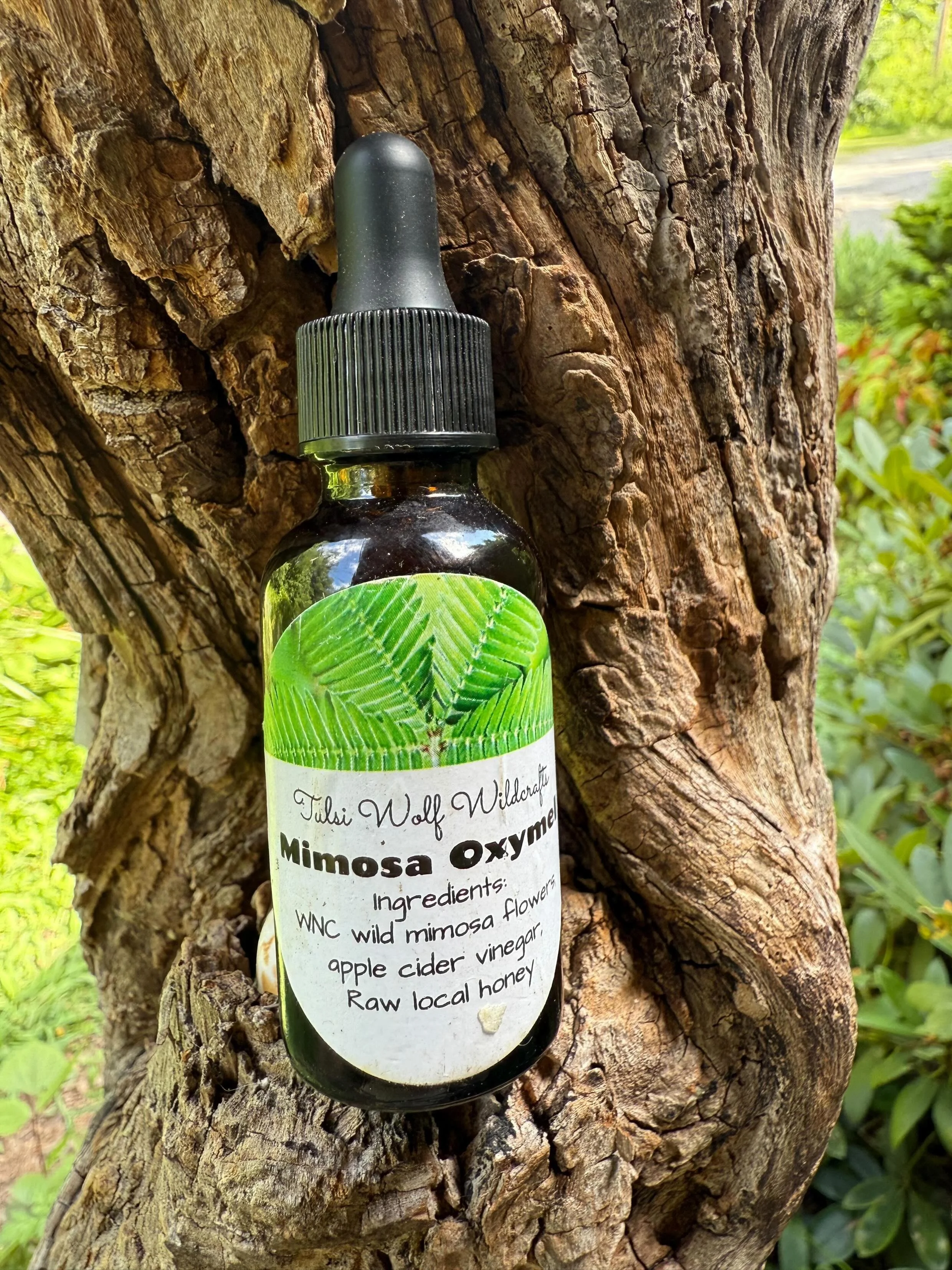 Mimosa Oxymel