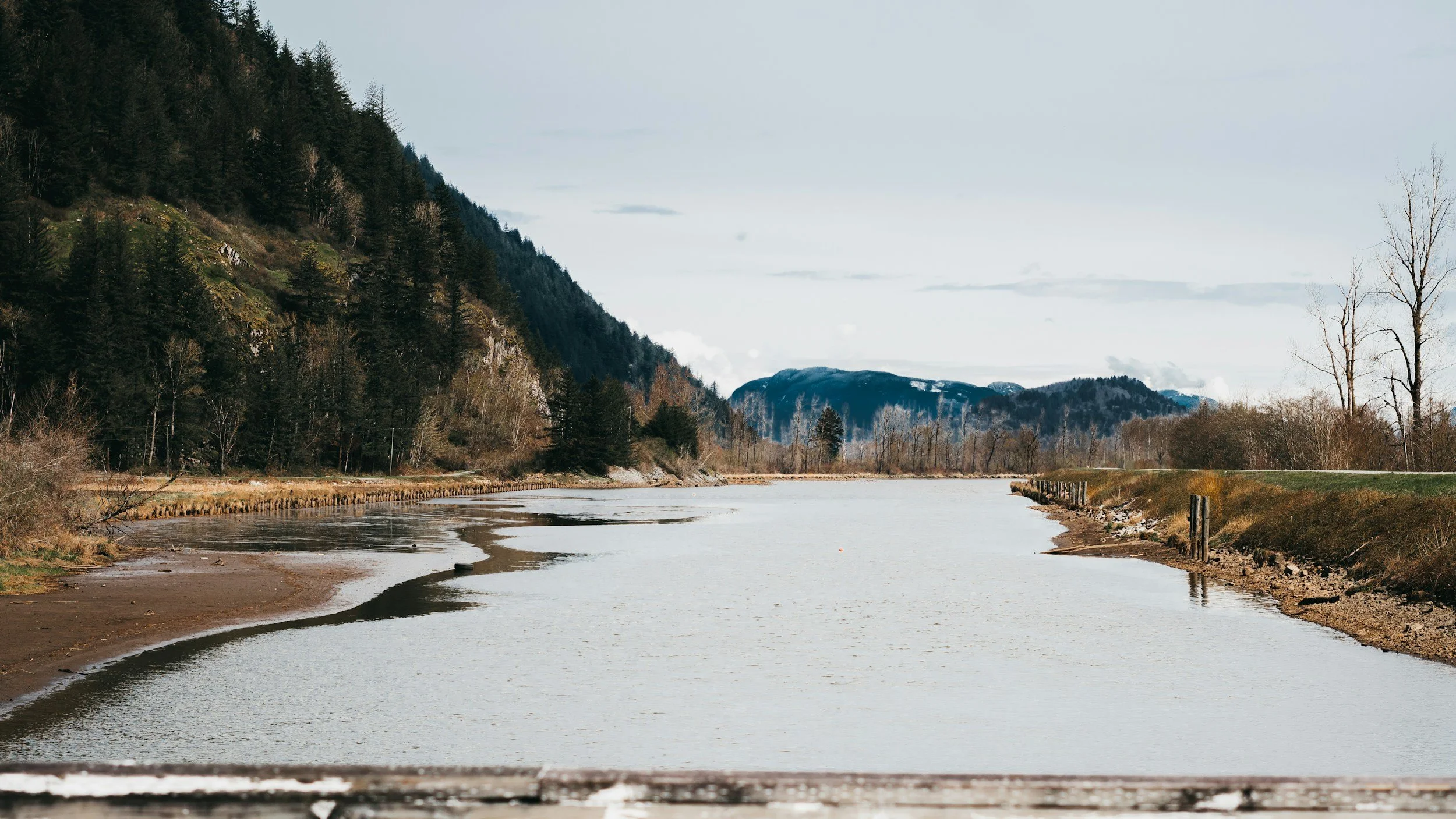 River with surrounding forested hills and distant mountains