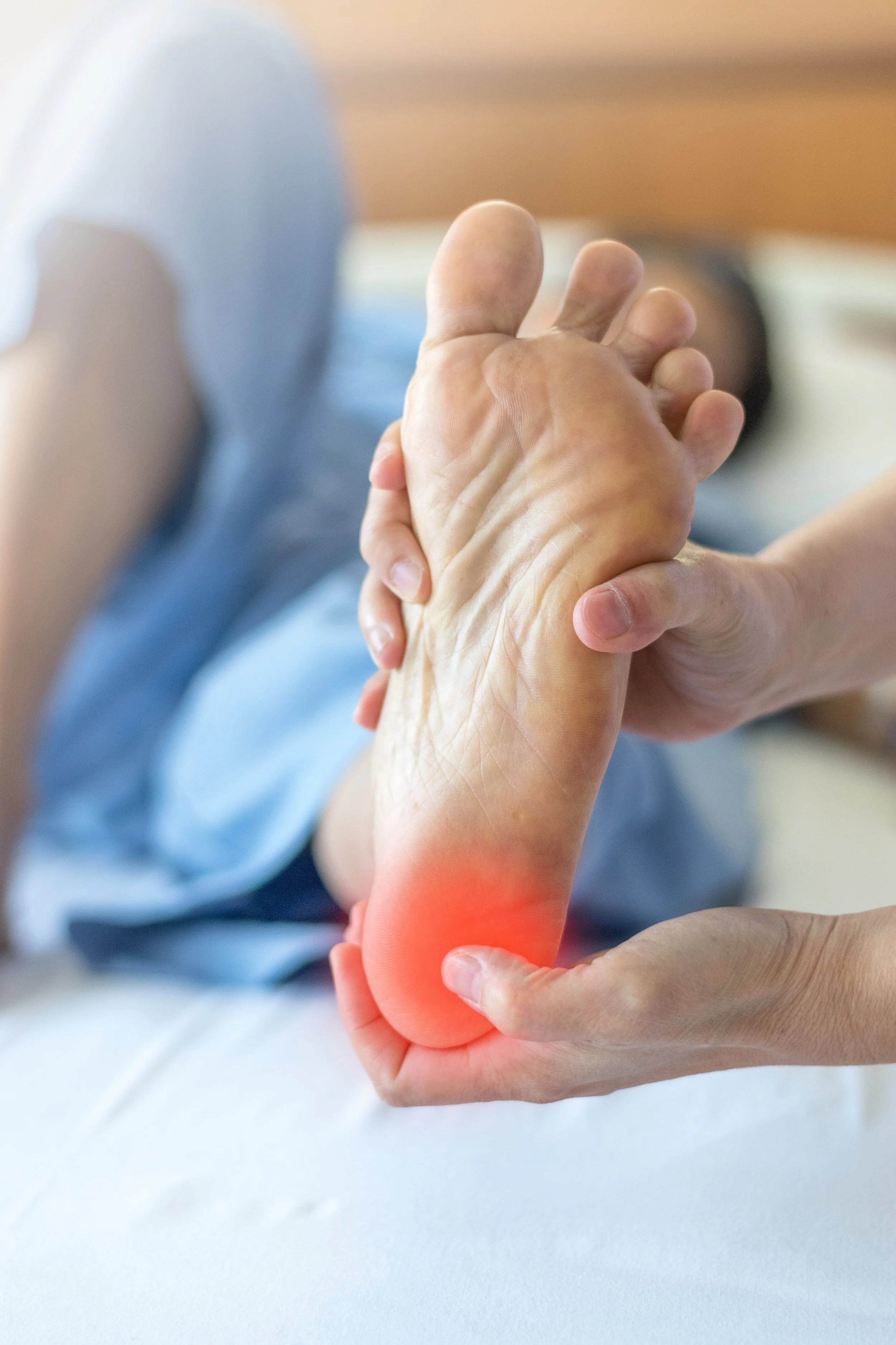 Heel Pain or plantar fasciitis concept. Hand on foot as suffer from inflammation feet problem of Sever's Disease or calcaneal apophysitis