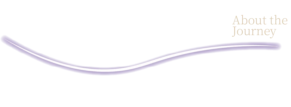 どんな旅なの？ About the Journey - セクションタイトル