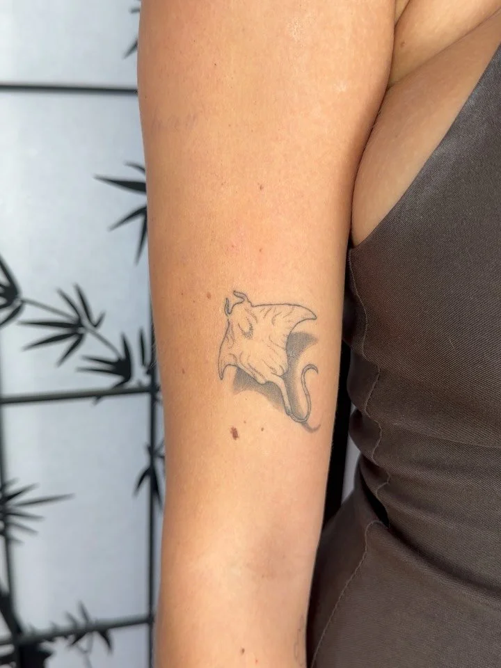 Healed stingray for Emma 

#finelinetattoos #bondifineline #sydneytattoostudio #stingraytattoo