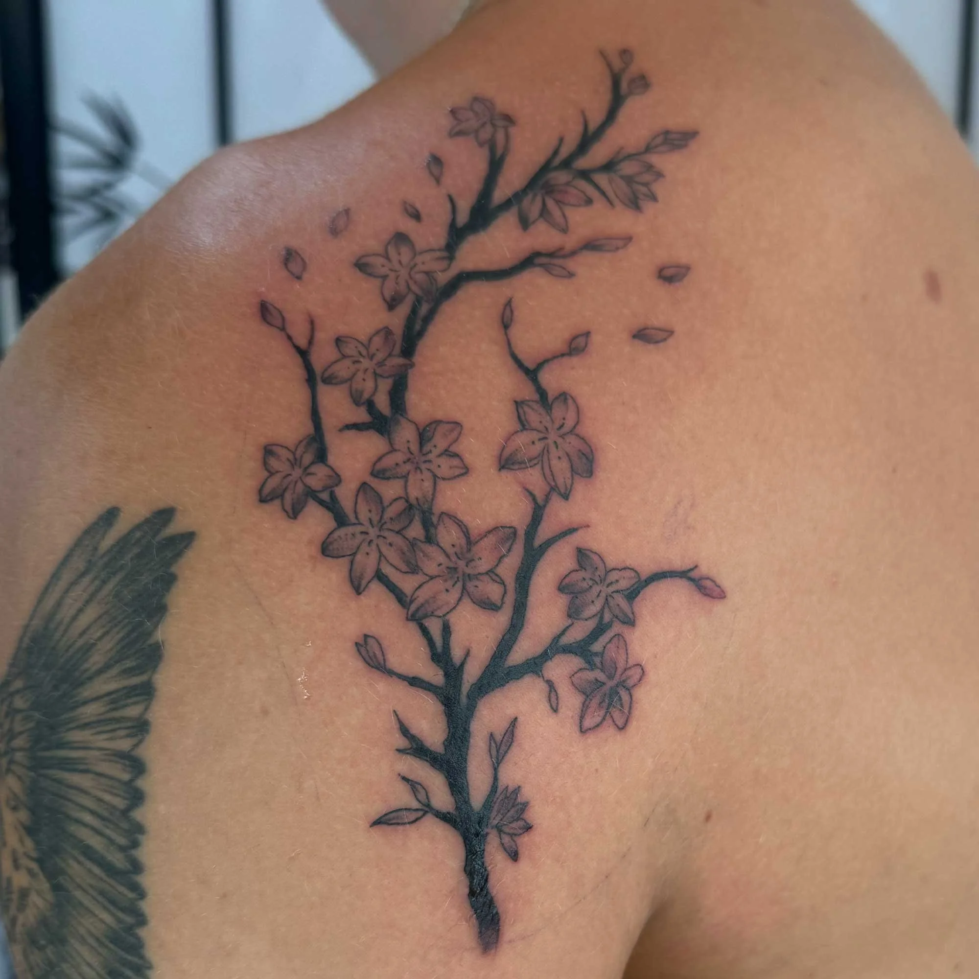 Cherry-blossom-branch-tattoo.jpg