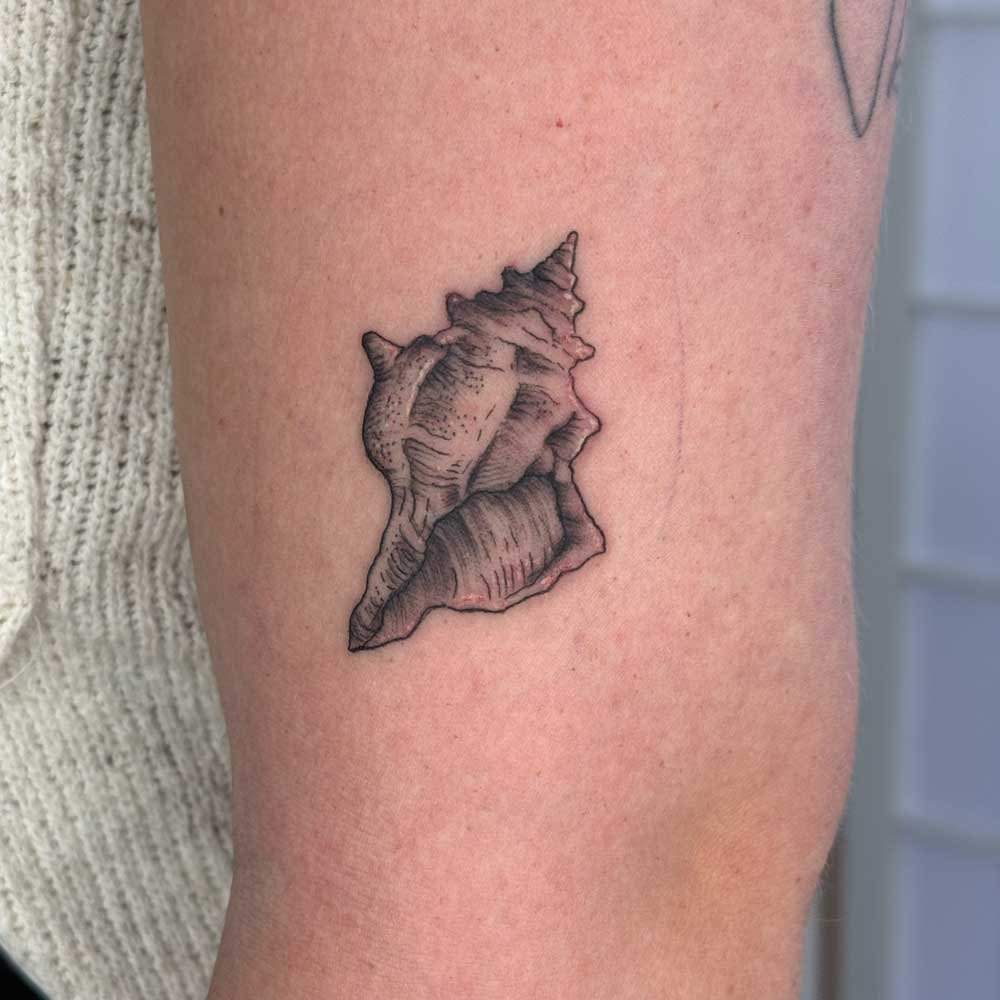 Finline-conch-shell-ocean-beach-tattoo-sydney-bondi.jpg