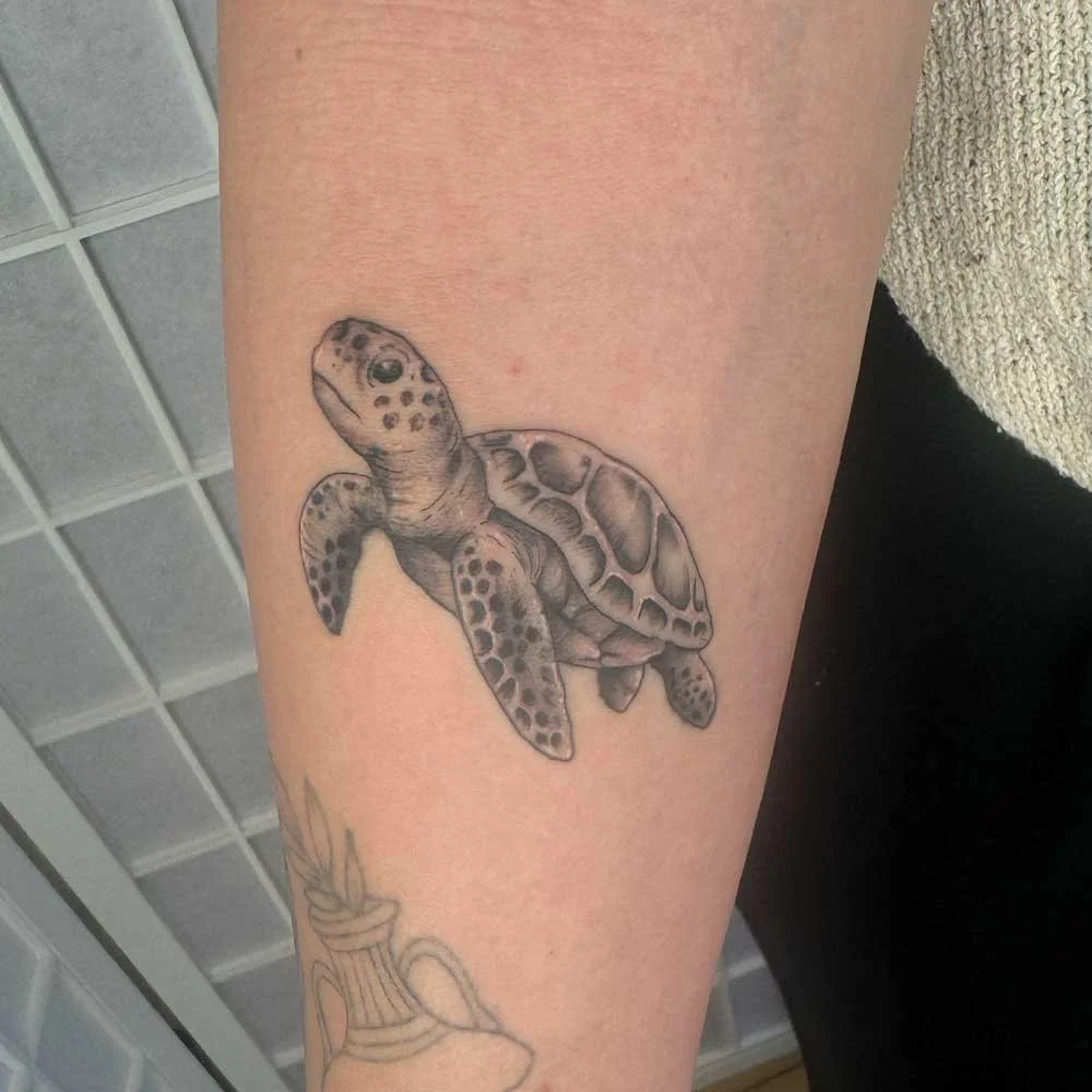 Black-and-grey-turtle-ocean-sea-tattoo-sydney-bondi.jpg