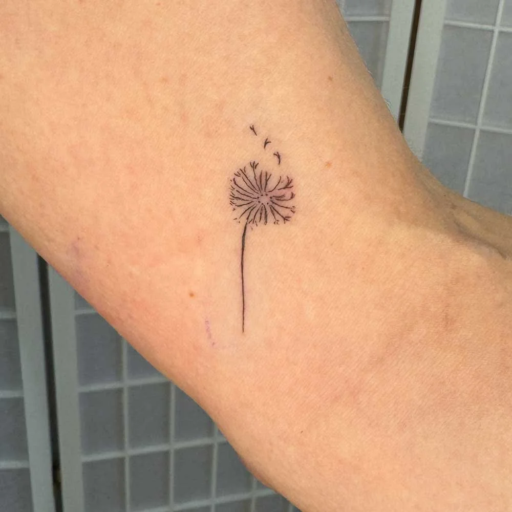 Fineline-dandelion-tattoo-flower-sydney-bondi-junction.jpg