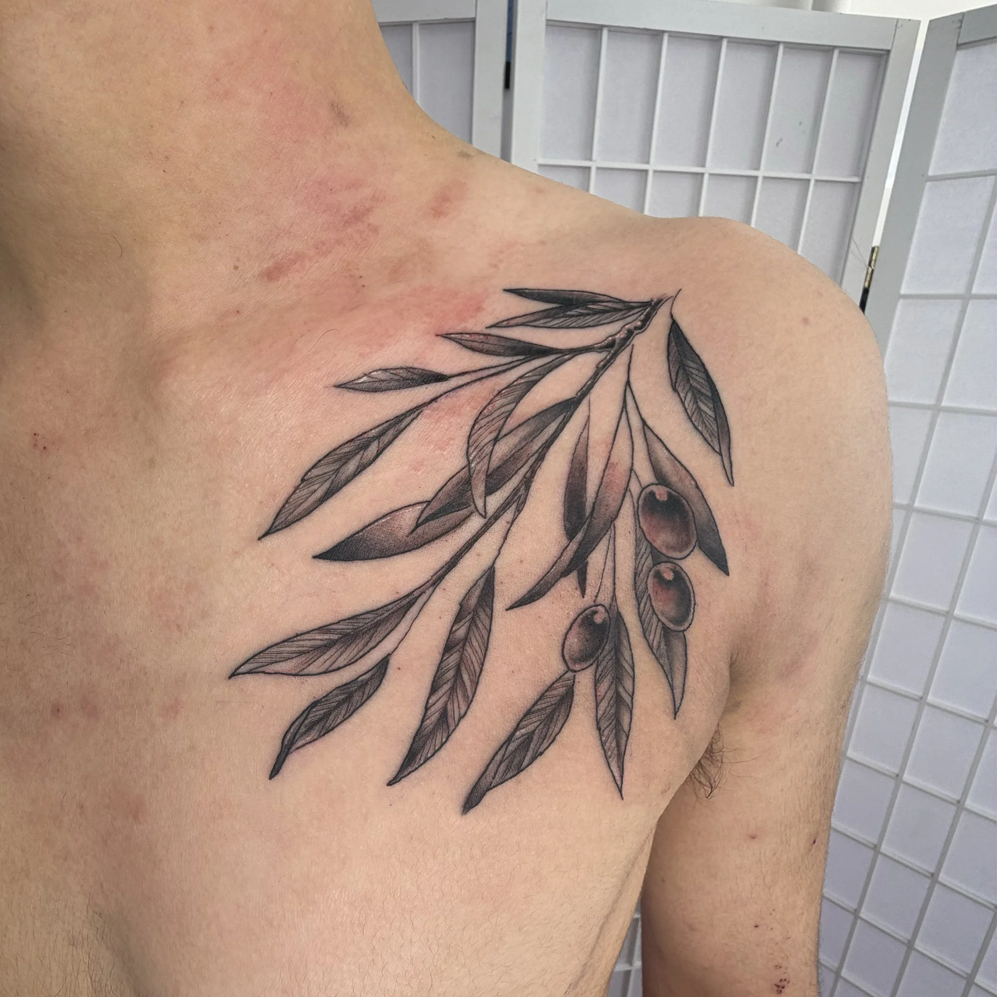 Shaded-fineline-olivebranch-tattoo.jpg