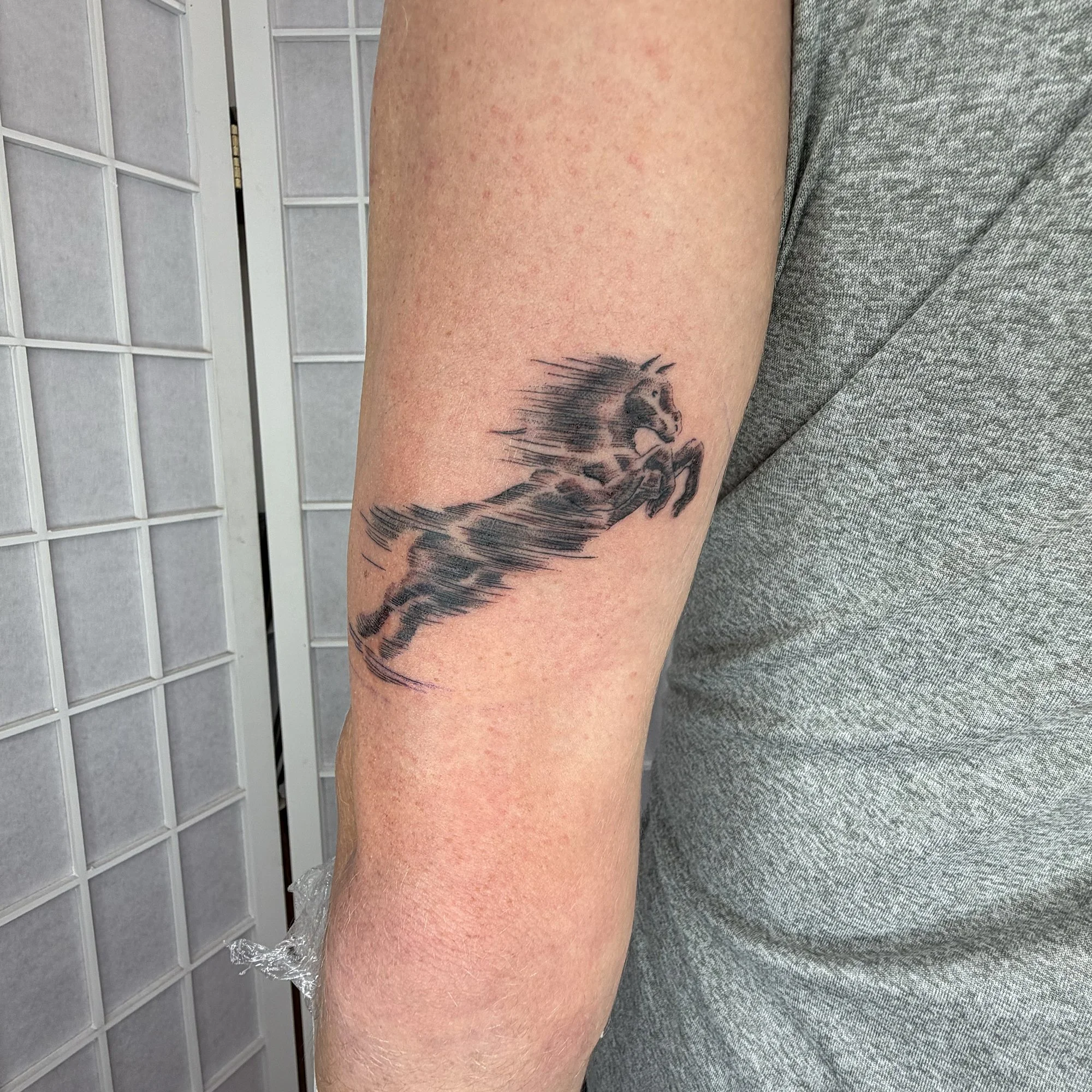 Fineline-horse-arm-tattoo.jpg