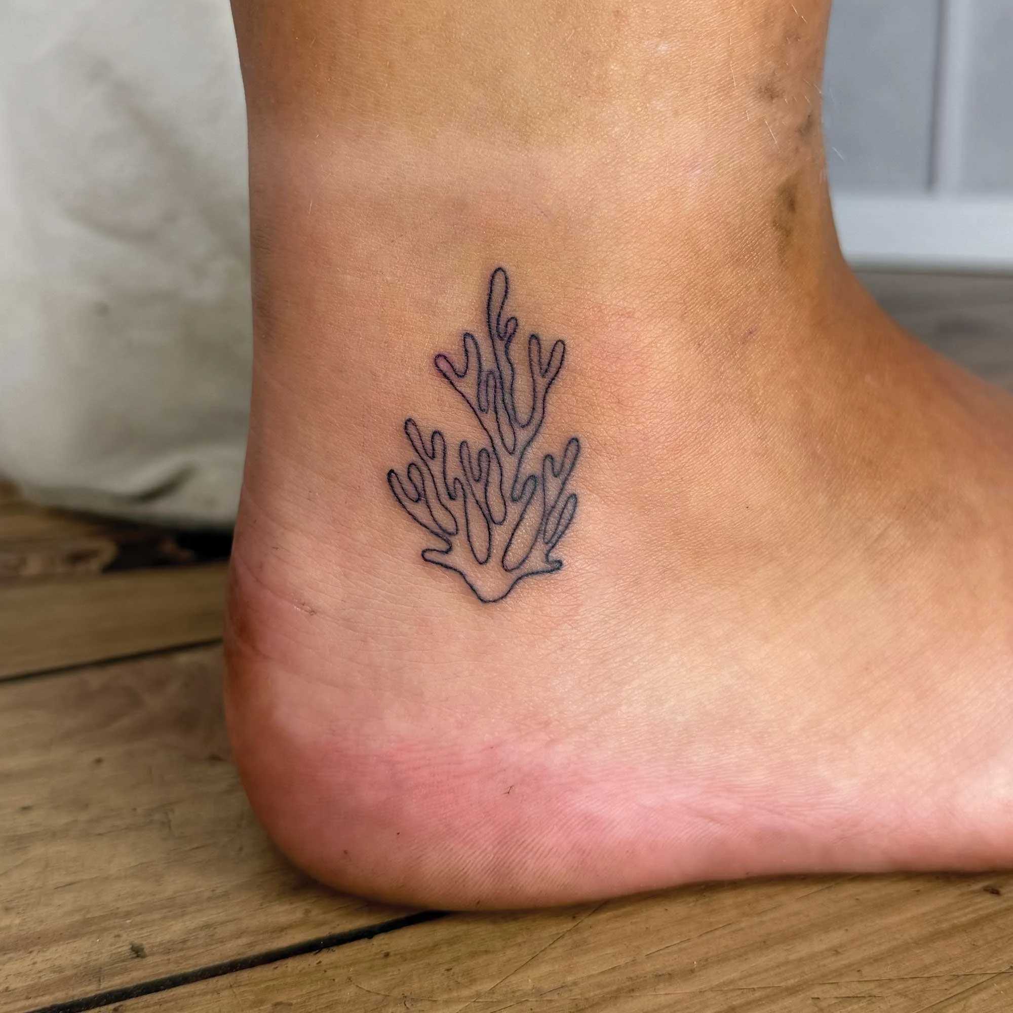 fine-line coral tattoo from Bondi fineline tattoo in Bondi junction 