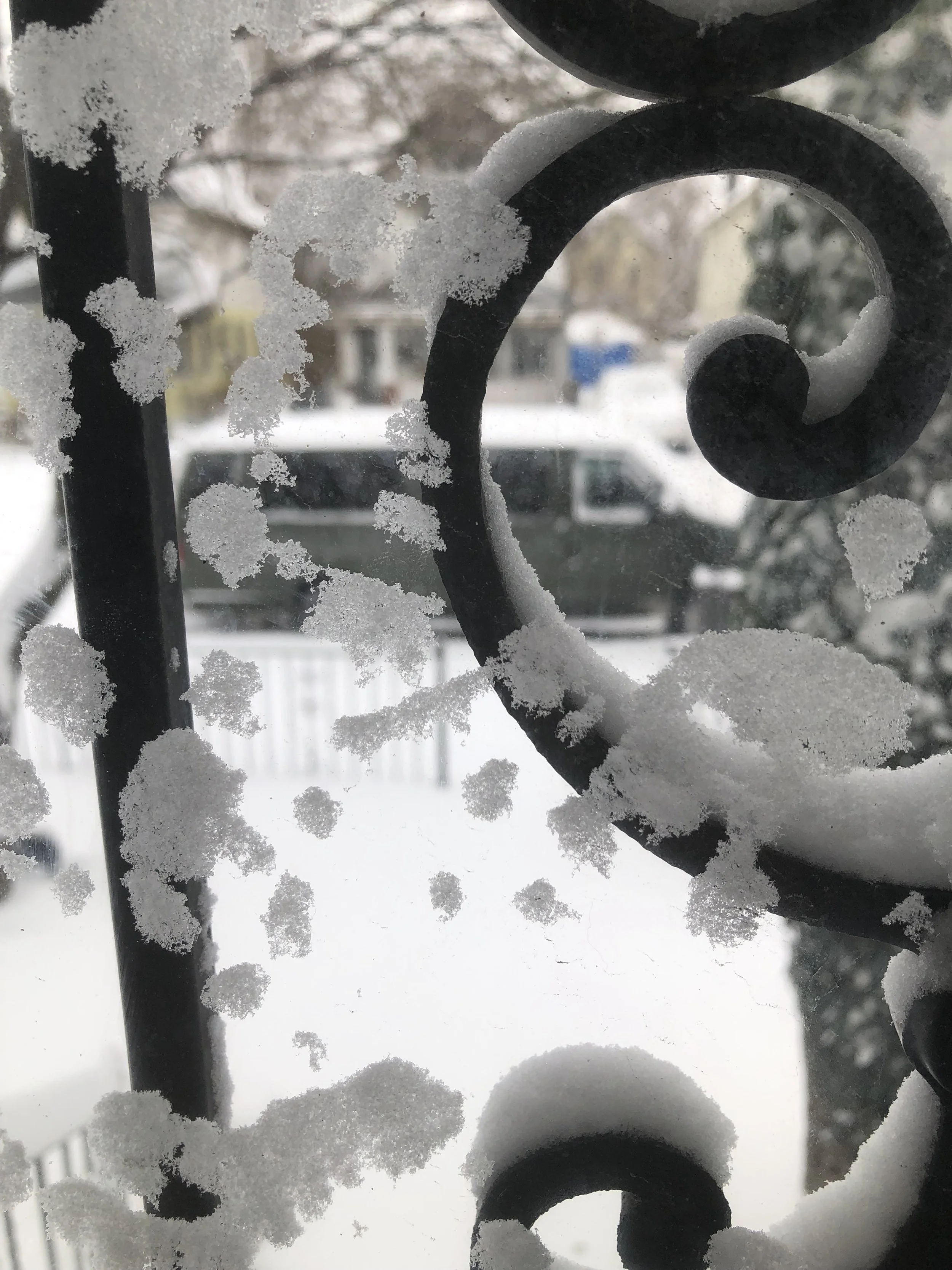 snow on door.jpg