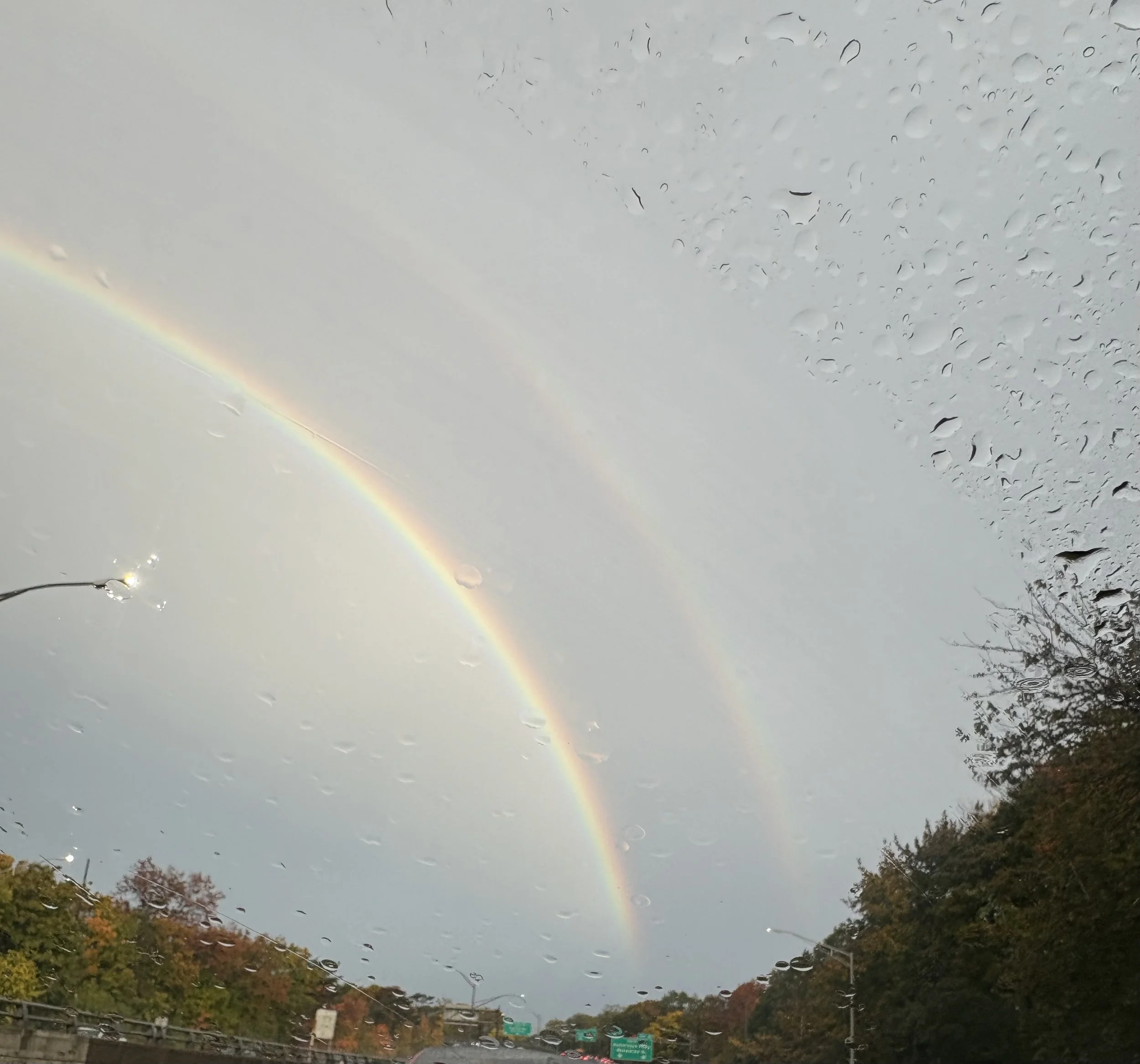 Rainbows seen through a rainy car windshield with raindrops, over trees with fall-colored leaves and a street with road signs.