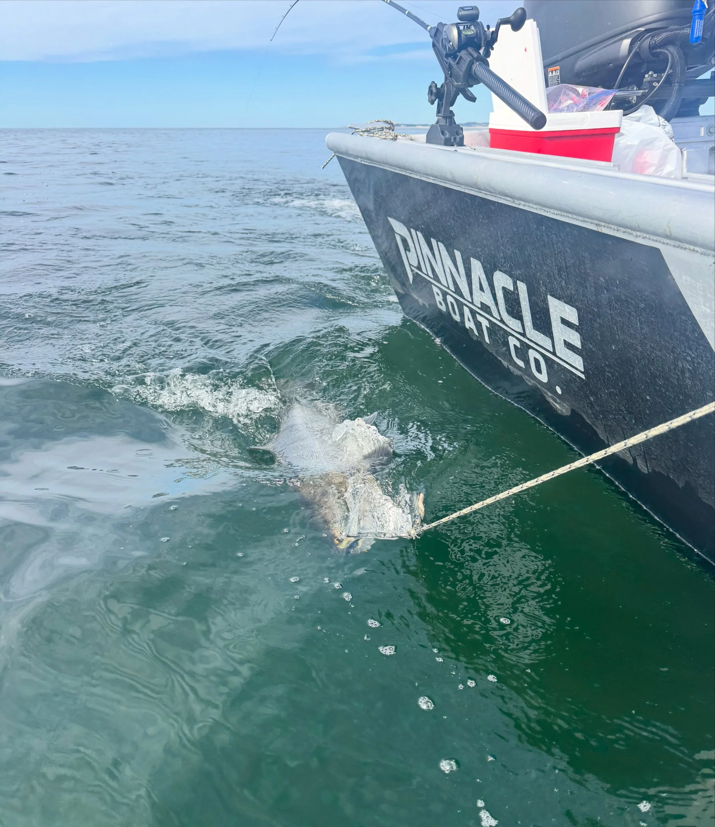 12 days on the water since finishing this 1866 demo. Glad to see the boat is doing exactly what it&rsquo;s meant to do - Get you to the fish with the best experience possible. 

@capt_mack continues to put clients on the fish both in and out of the r