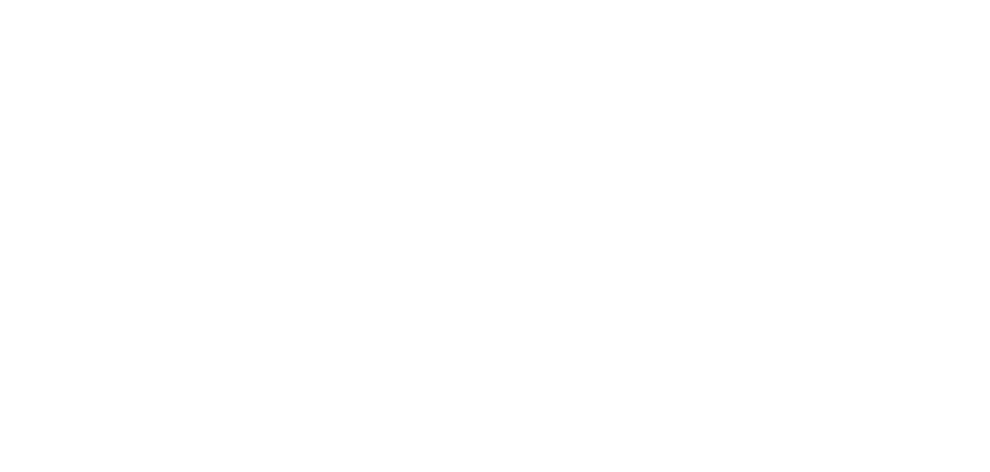 TRY-Services