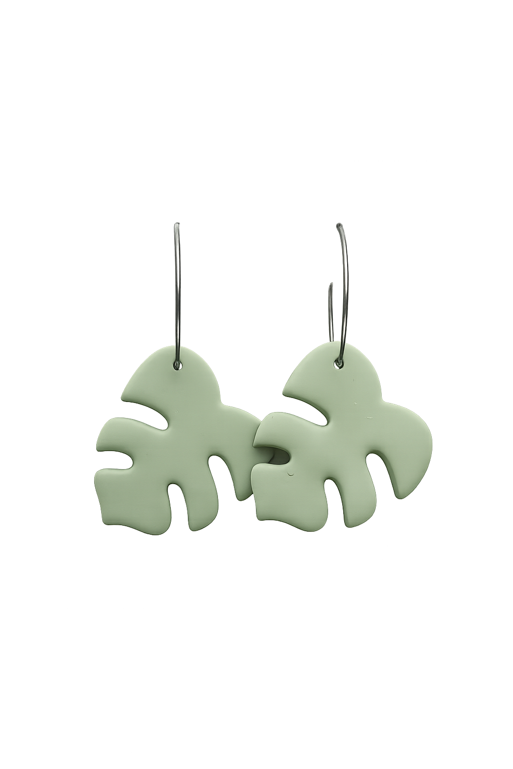 Monstera – Sage