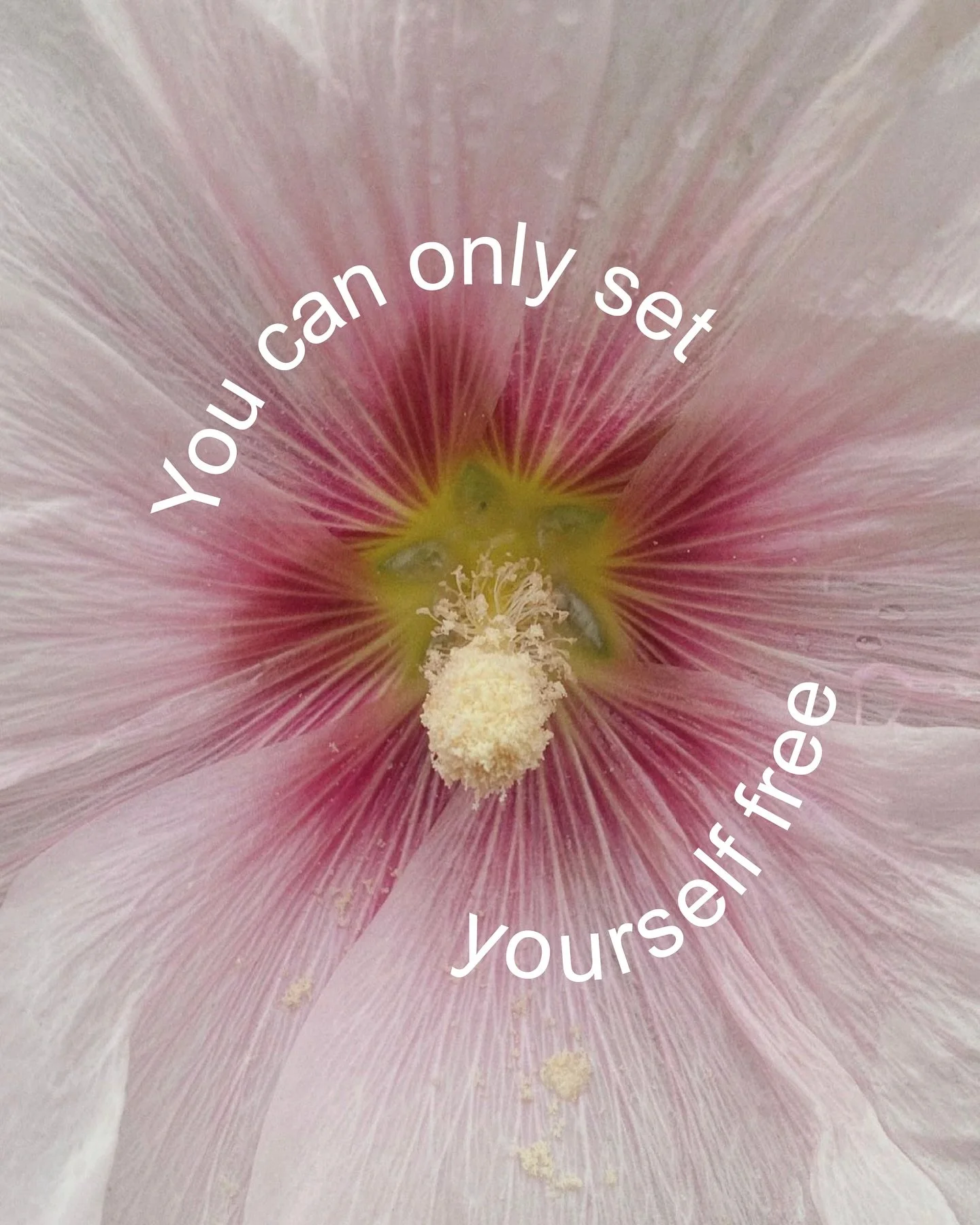 Graphic by moi 🫀 comment if you want some free stickers 🤸🏻