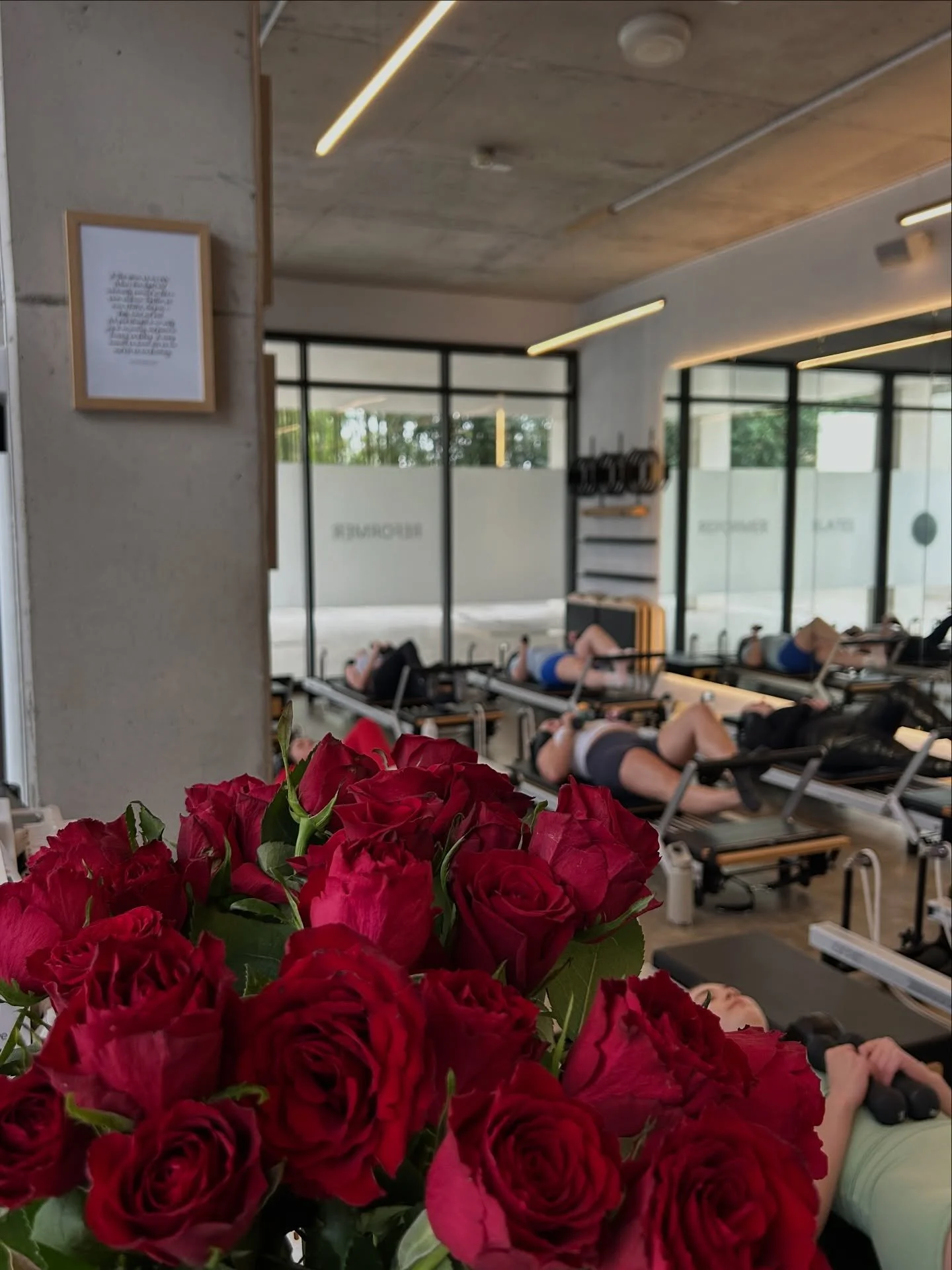 A little love, a little movement &amp; a whole lot of appreciation ❤️

Thank you to everyone who moved with us this Valentine&rsquo;s 🌹

#reformerstudio #northkellyville #valentinesday #roses #pilatesstudio