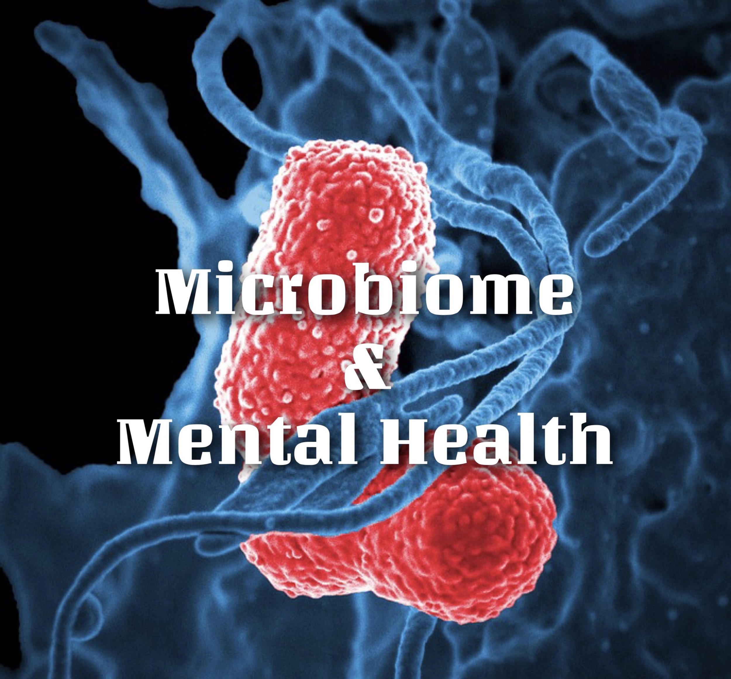 How the Gut Microbiome Influences Mental Health