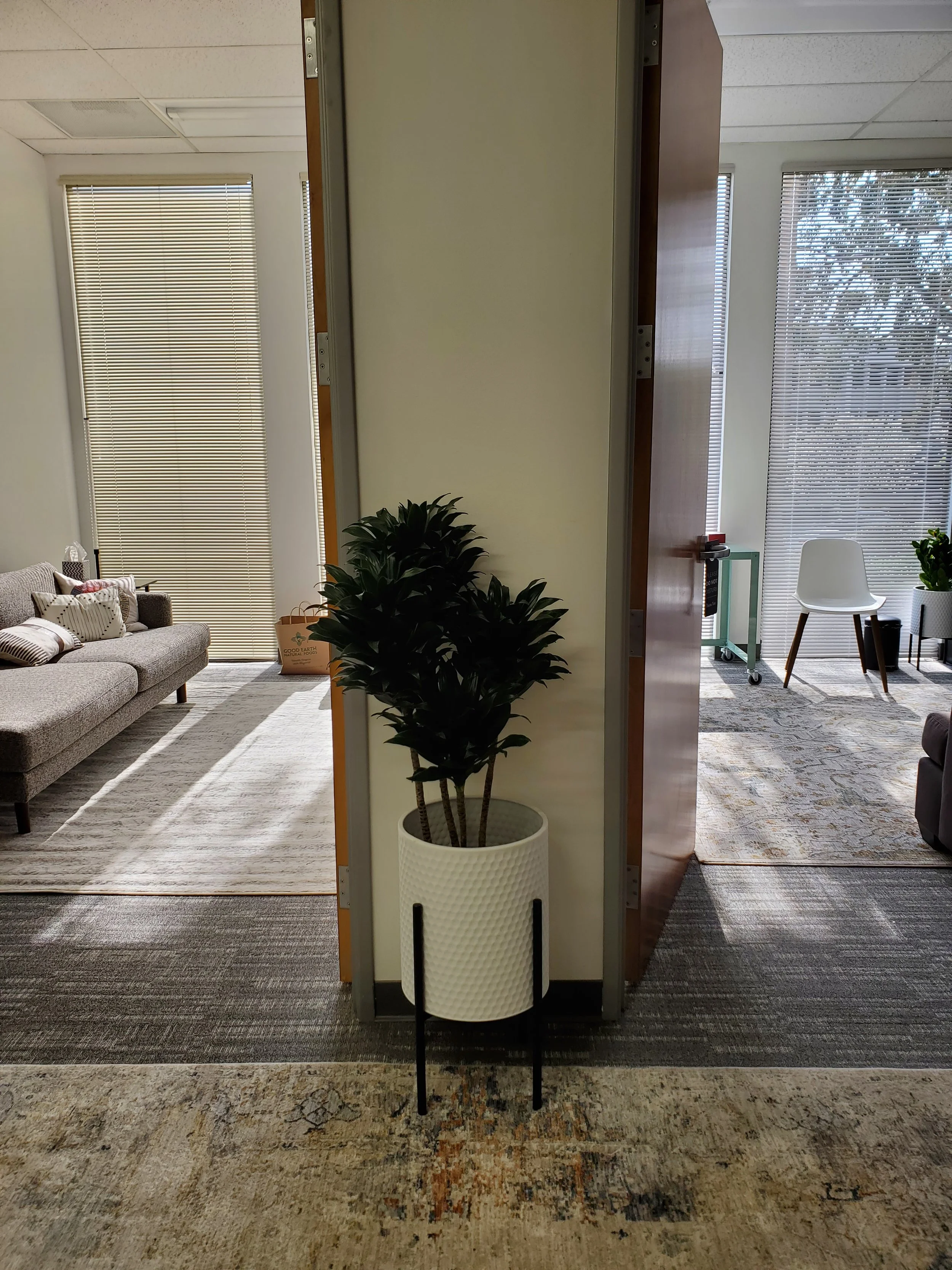 A calming group therapy office in Marin county