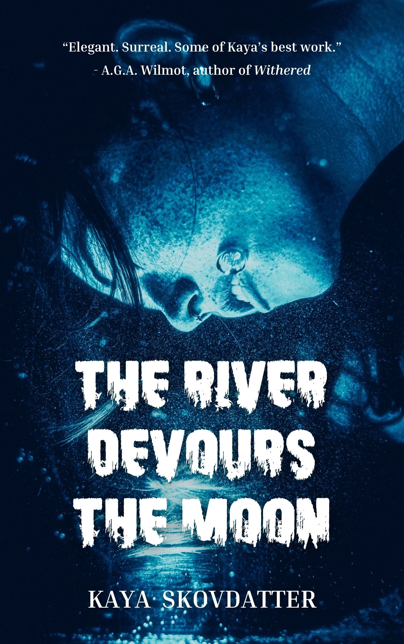 The River Devours the Moon Cover (Final).jpg