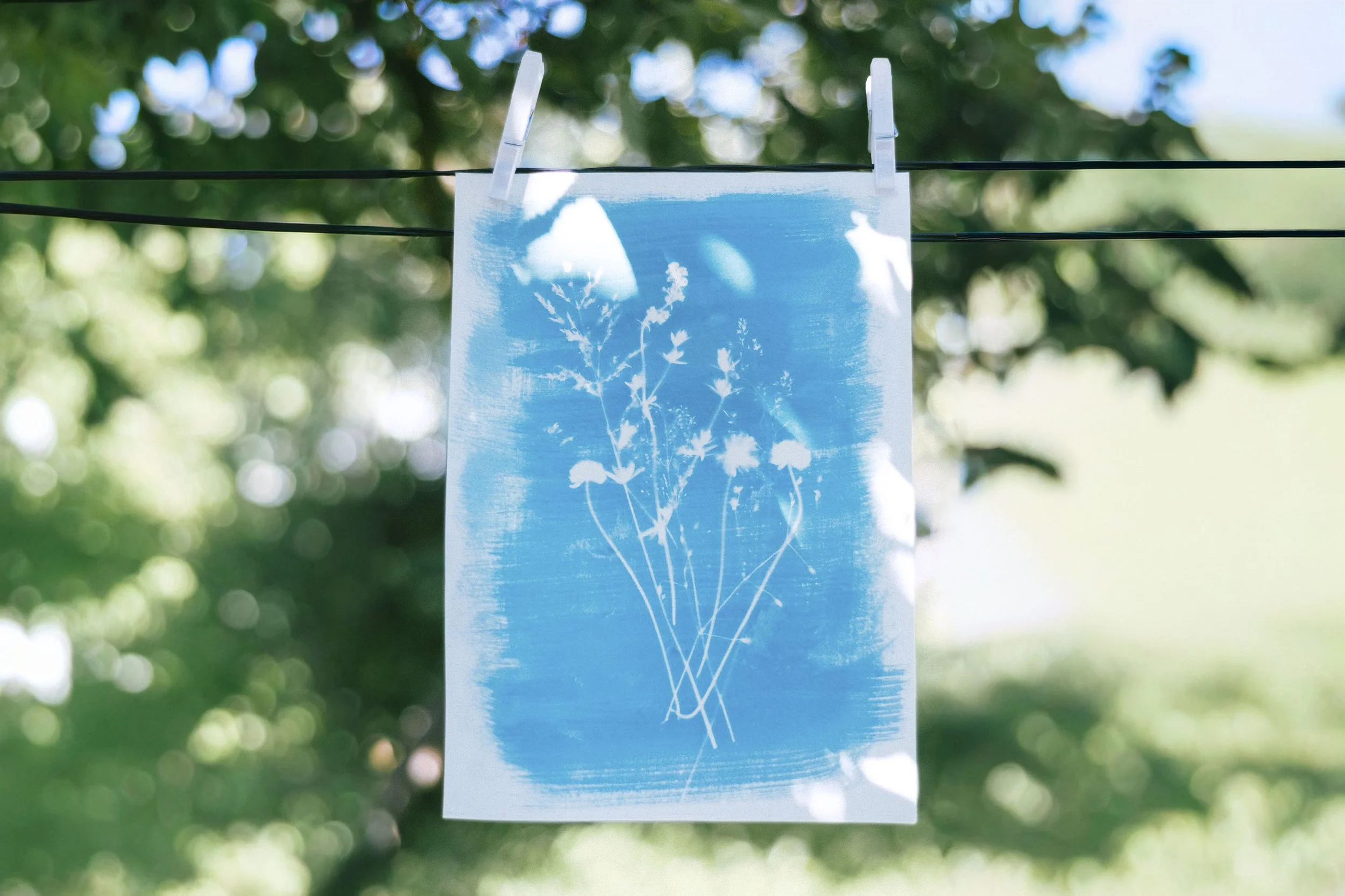 Cada asistente crea una obra artística única e irrepetible, utilizando procesos fotográficos tradicionales.