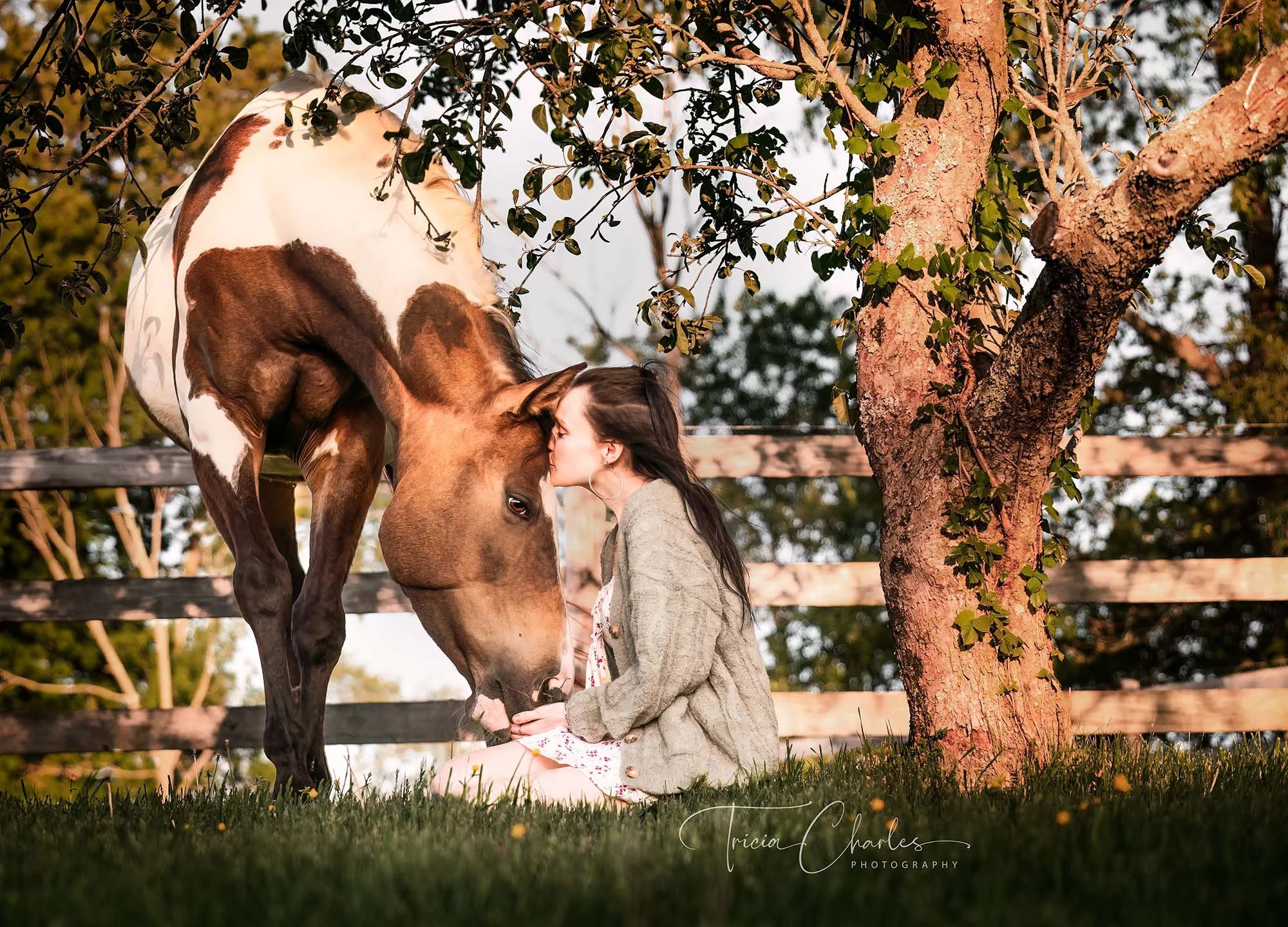 A young girl with long dark hair and hoop earrings sitting on the grass, kissing a white and brown horse's face near a tree.
