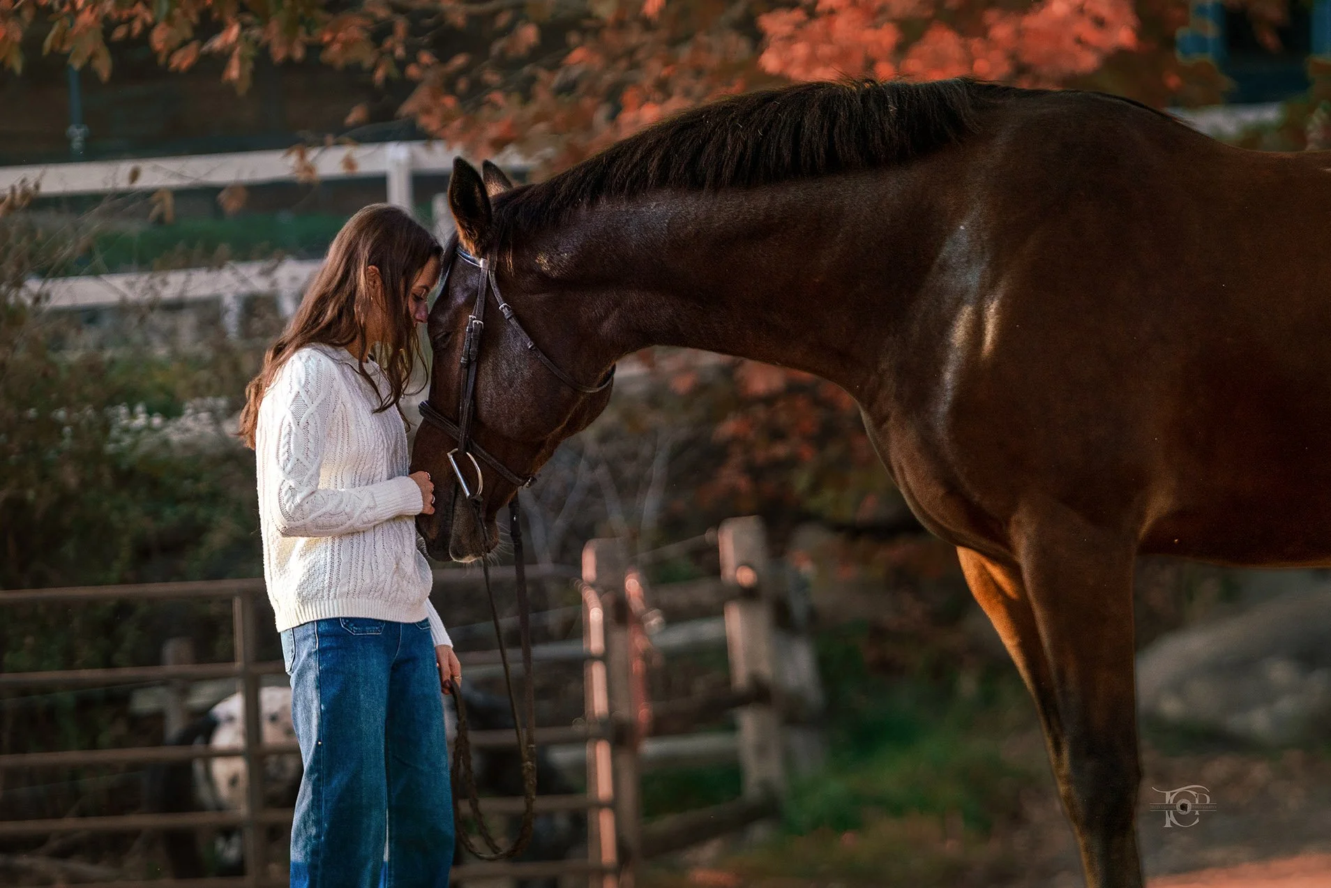 A girl with long brown hair, wearing a white sweater and jeans, leans her forehead against a brown horse in a fenced outdoor area during the evening or late afternoon with autumn leaves in the background.