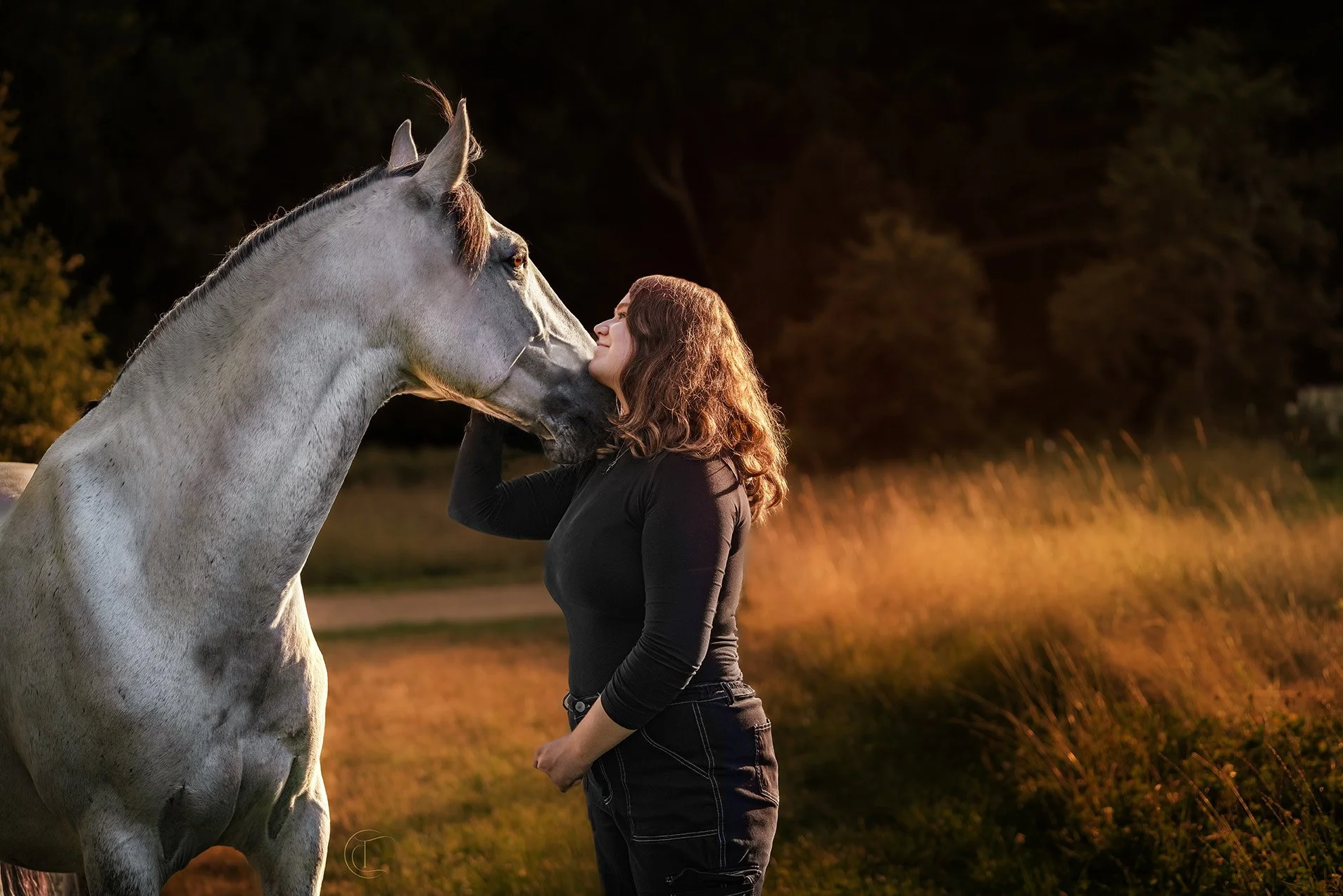 Horse & owner connection in Massachusetts