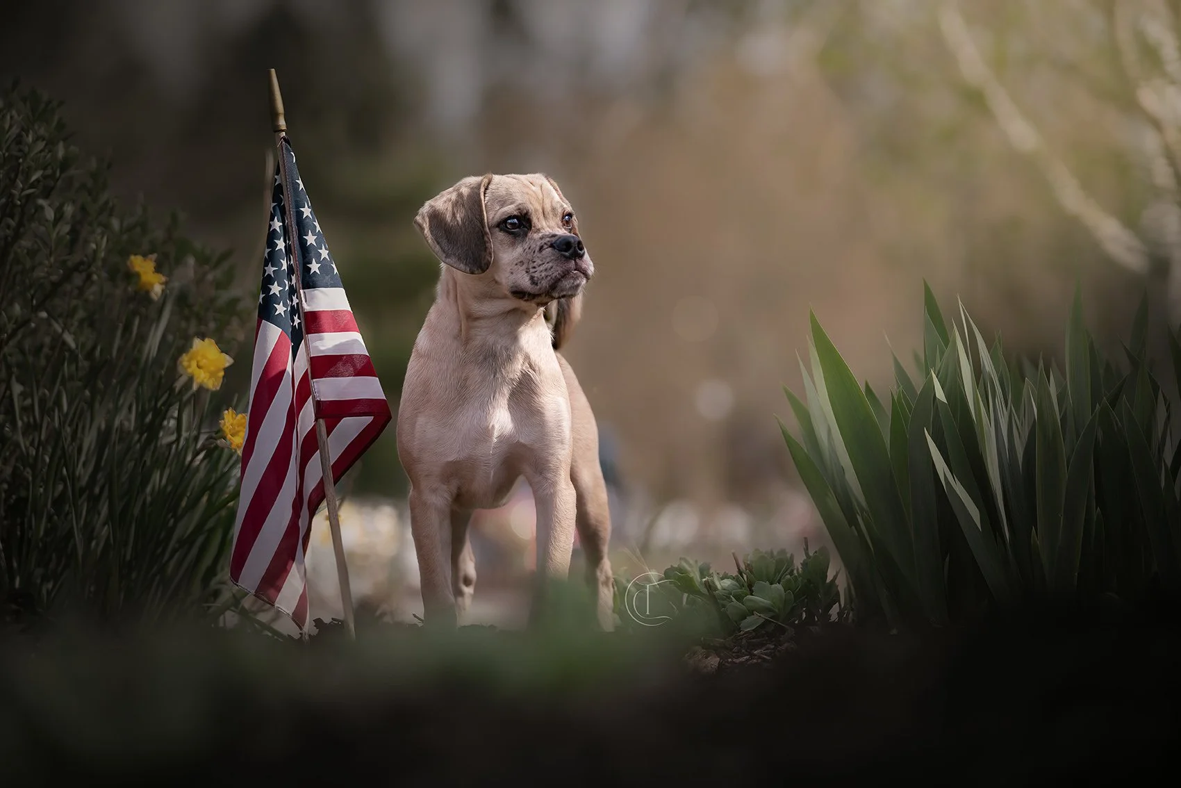 Chelsea & Shadow-177-Edit.jpg