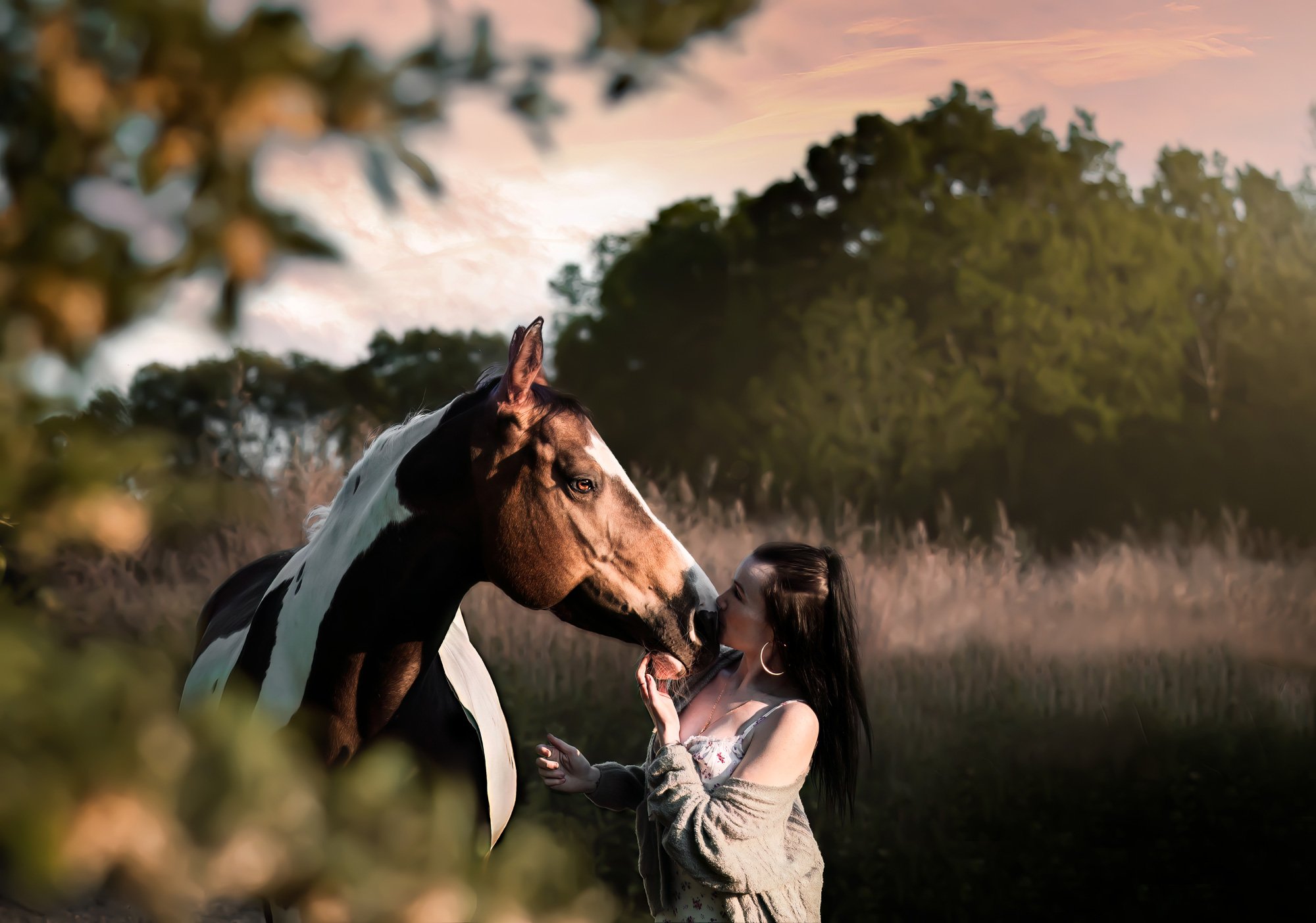 Equine & Rider Spotlight - Model Call